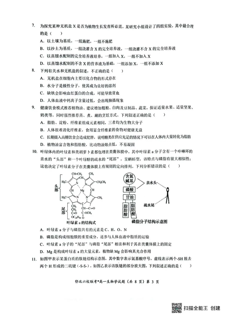 生物试卷+答案【高一】湖北鄂北六校2025-2026学年上学期高一年级月期中联考考试（.5-.6）.pdf_第3页