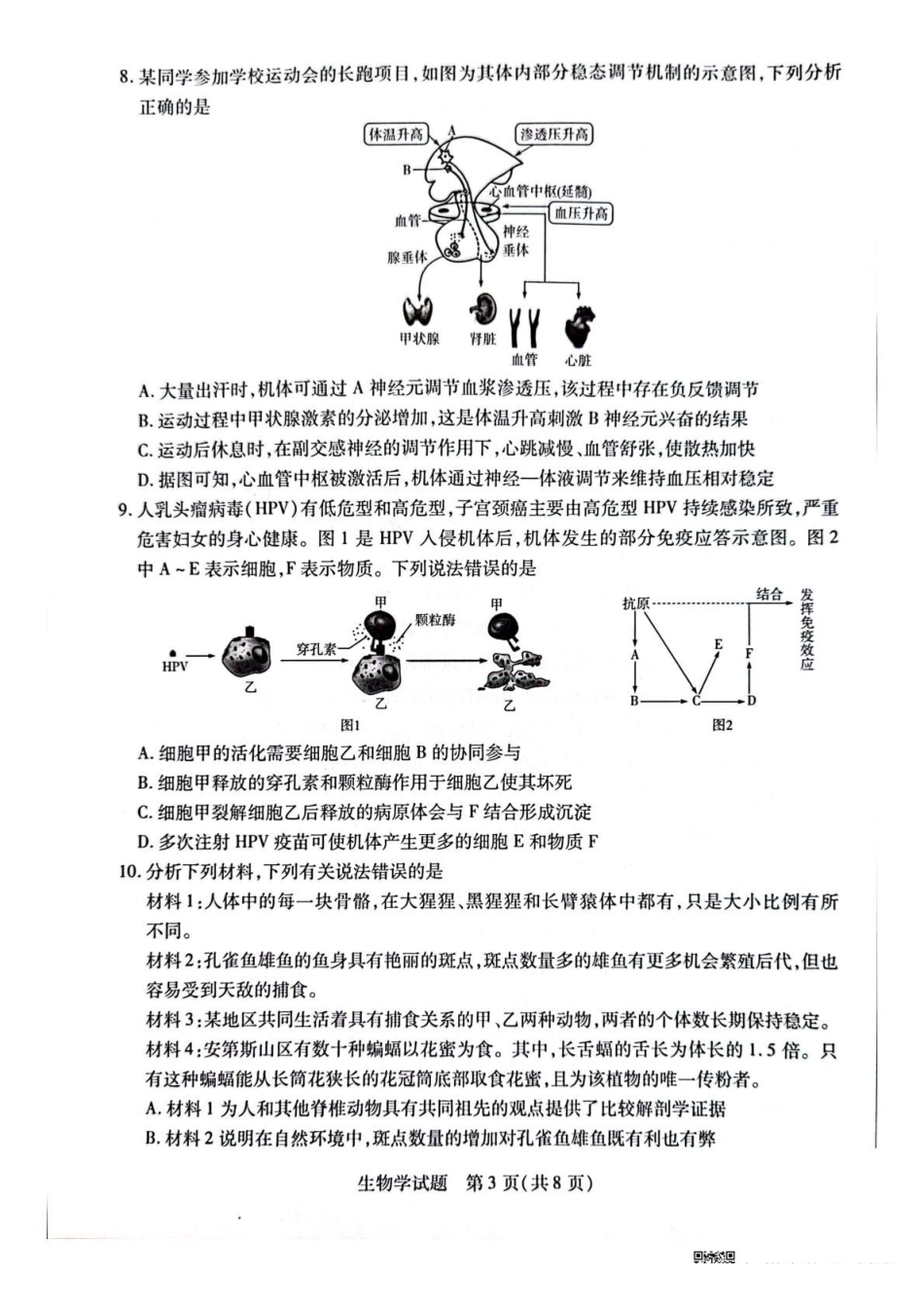生物试卷+答案安徽省天一大联考卓越县中联盟2024-2025学年高三5月份检测(5.6-5.7).pdf_第3页