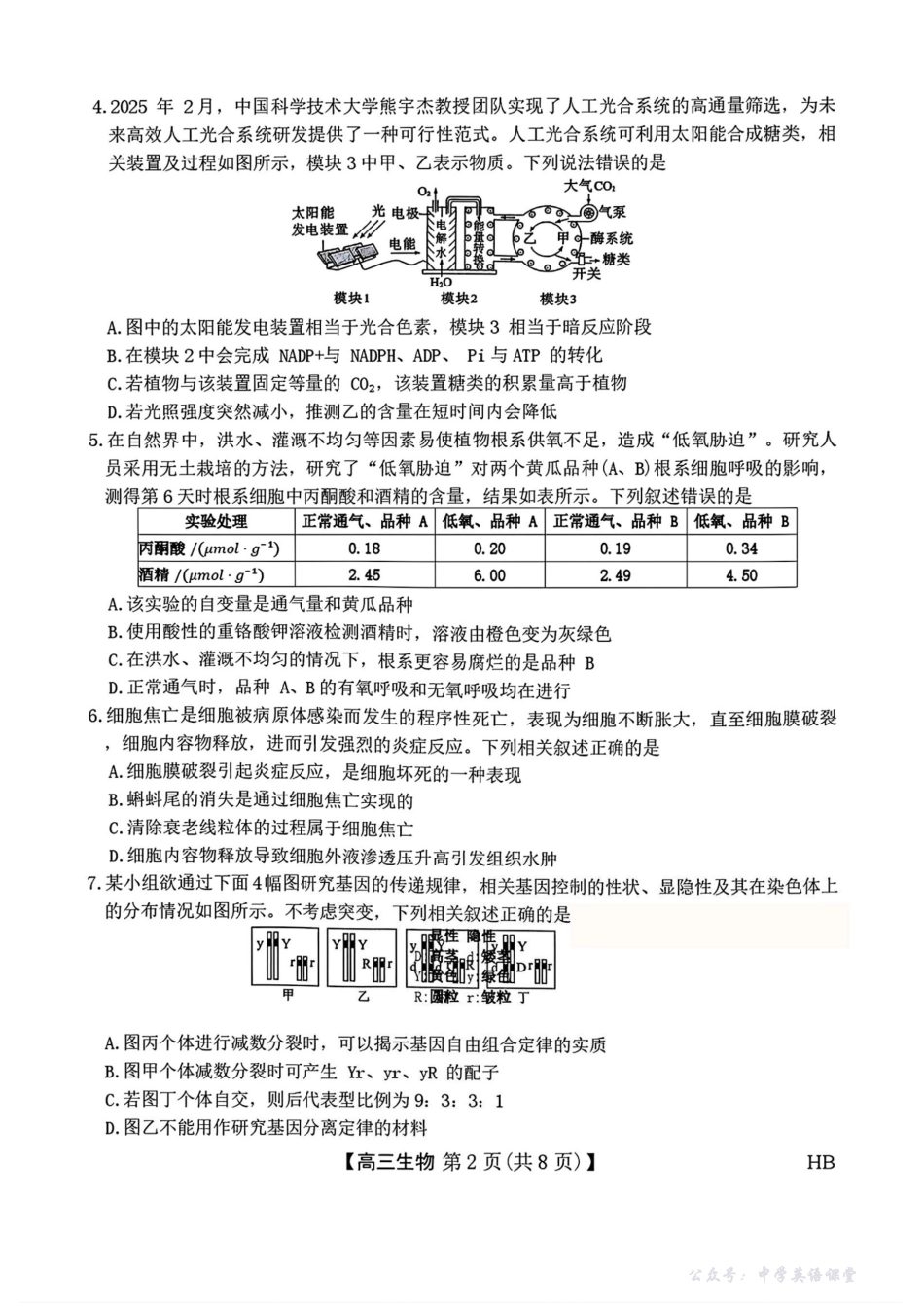 生物试卷+答案-河北省金科新未来大联考2026届高三11月质量检测(下标HB(11.13-11.14).pdf_第2页