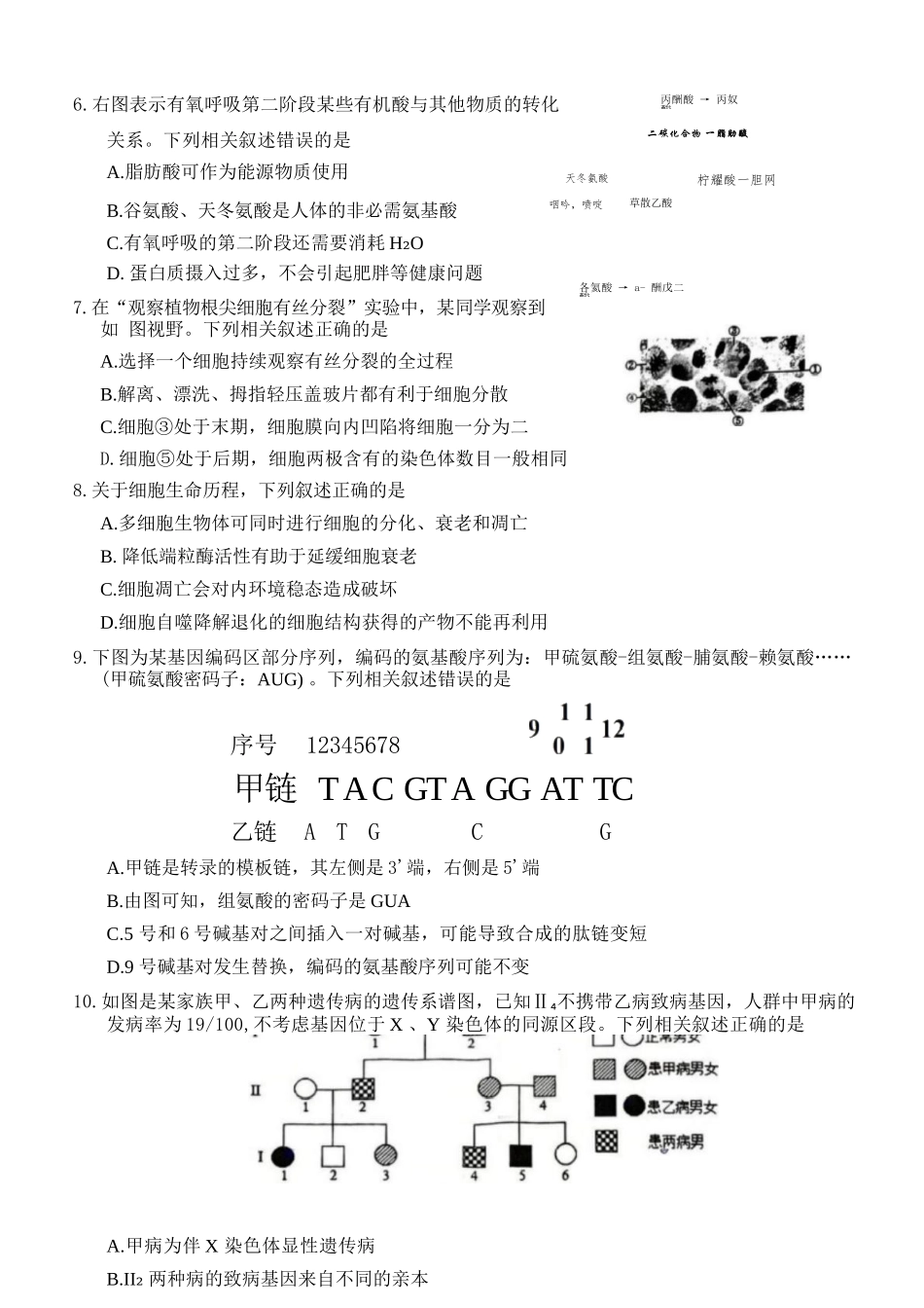 生物试卷+答案江苏省盐城市2026届高三年级第一学期期中考试(11.17-11.19).docx_第3页