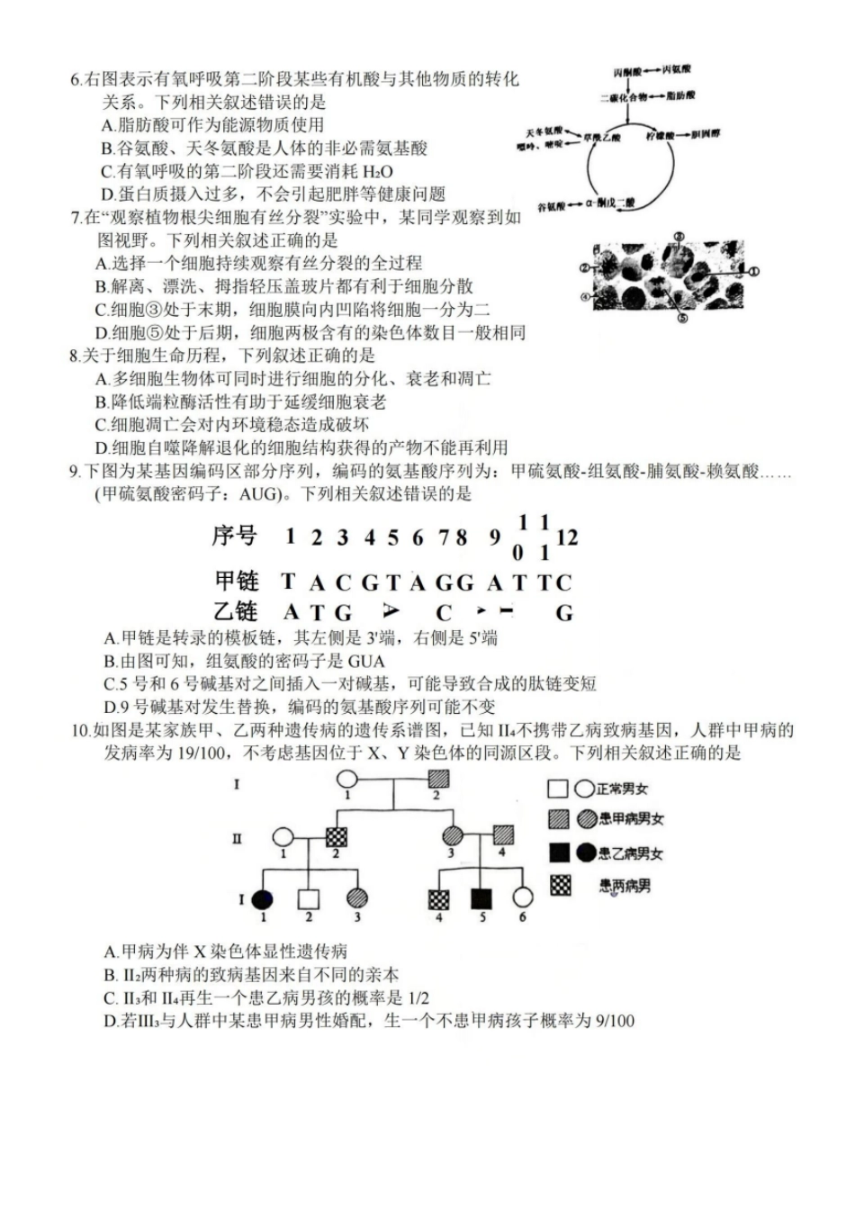 生物试卷+答案江苏省盐城市2026届高三年级第一学期期中考试(11.17-11.19).pdf_第2页