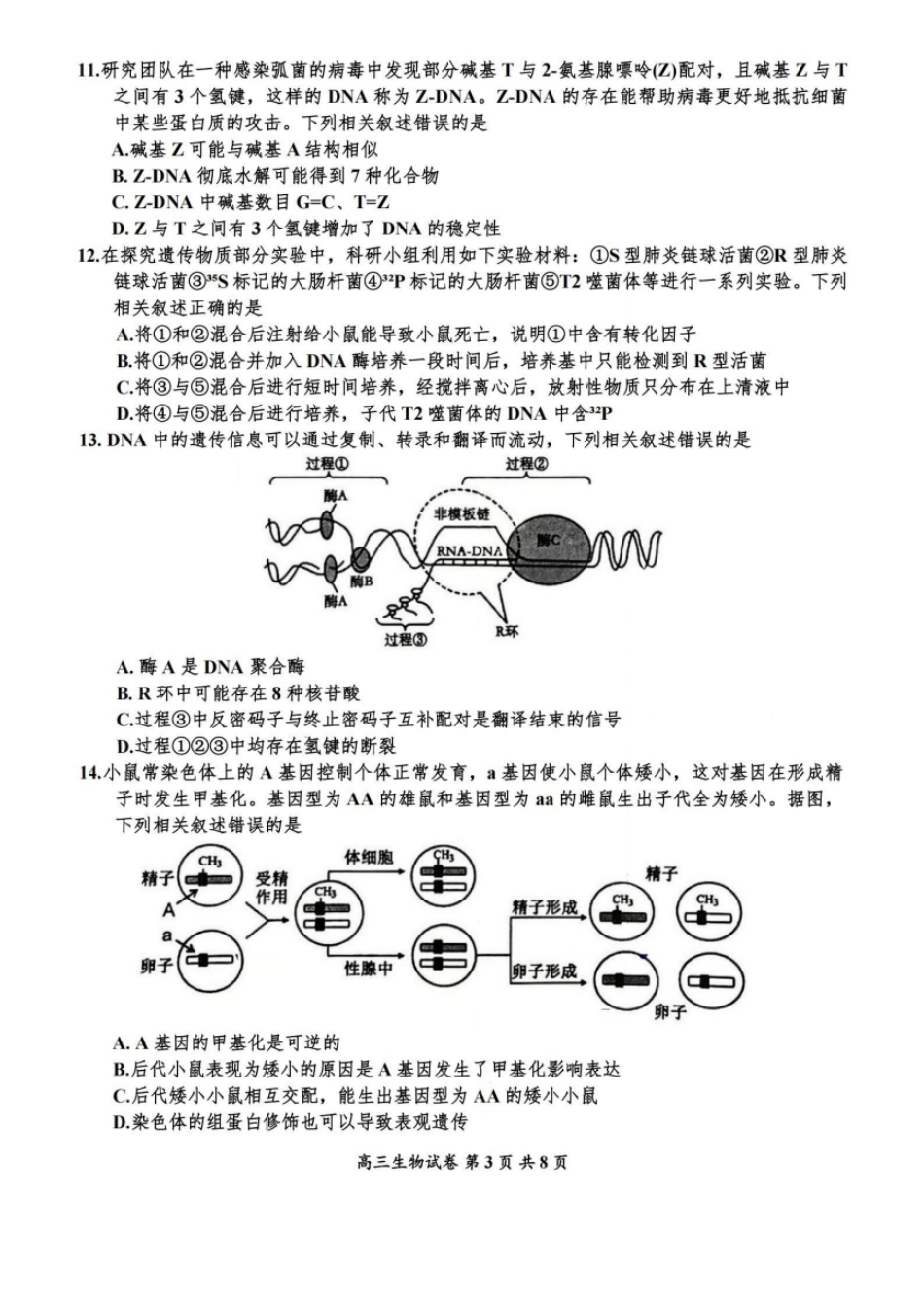 生物试卷+答案江苏省盐城市2026届高三年级第一学期期中考试(11.17-11.19).pdf_第3页
