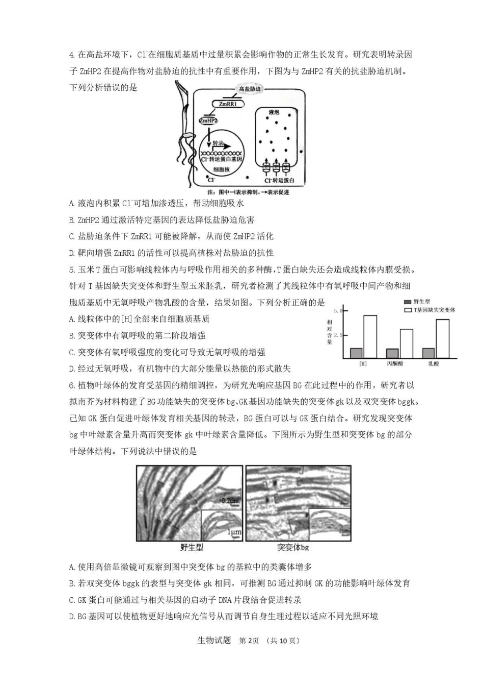 生物试卷+答案山东省山东师范大学附属中学2026届高三年级上学期0月份阶段性检测(0.20左右).pdf_第2页
