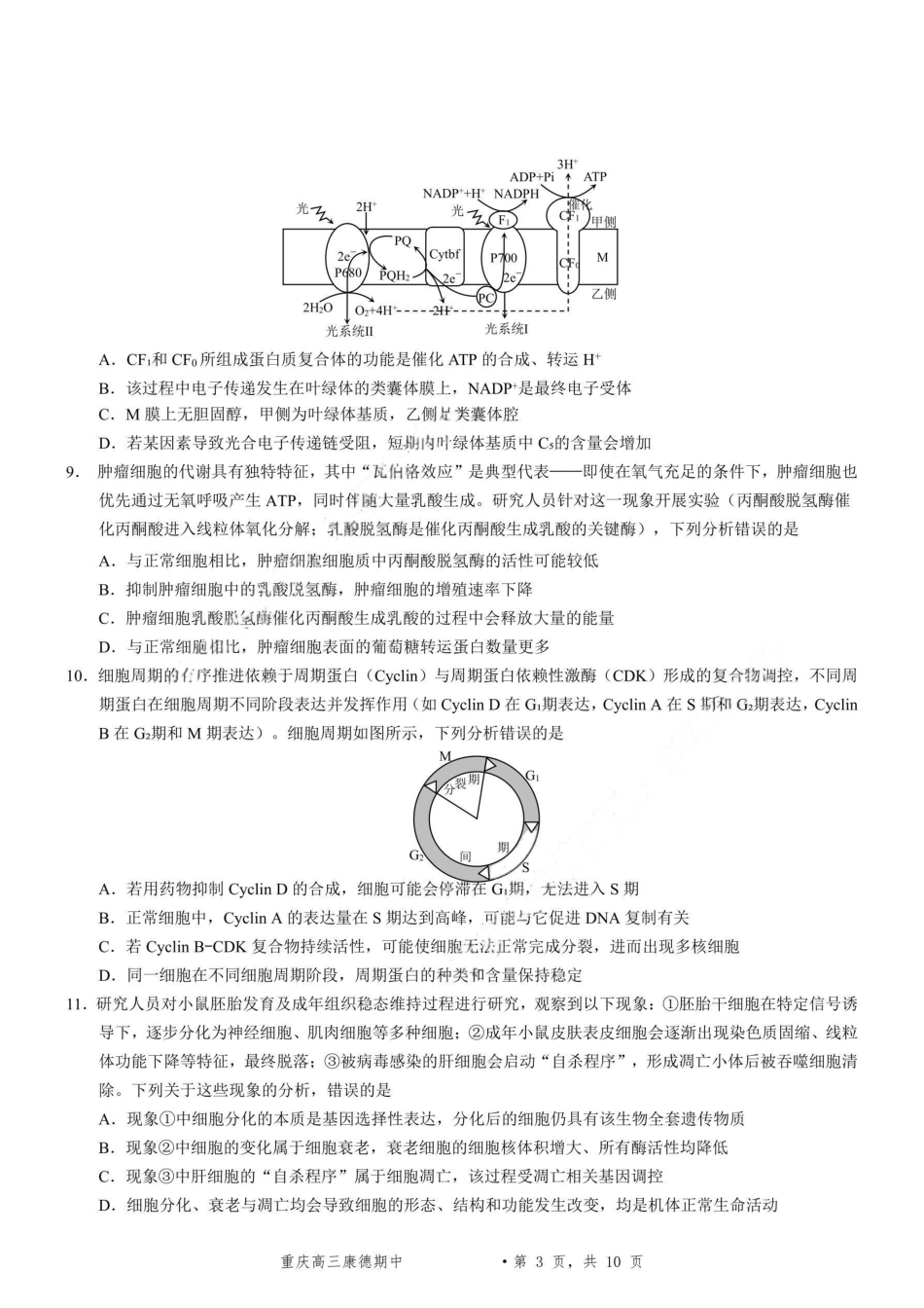 生物试卷+答案重庆市康德教育2026年普通高等学校招生全国统一考试月调研测试卷(.3-.4).pdf_第3页