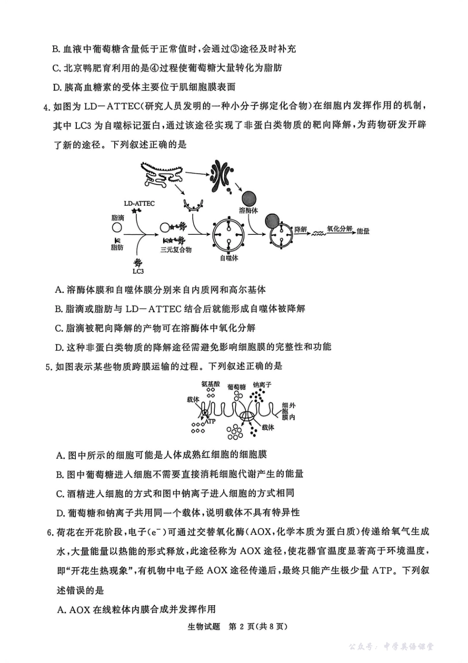 生物试卷-2026届普通高等学校招生全国统一考试青桐鸣大联考(高三).pdf_第2页