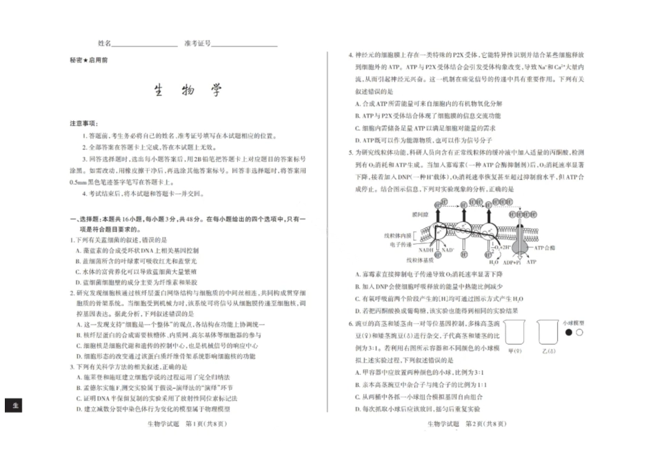 生物试卷2026届山西省思而行高三备考核心模拟期中考试(0.28-0.29).pdf_第1页