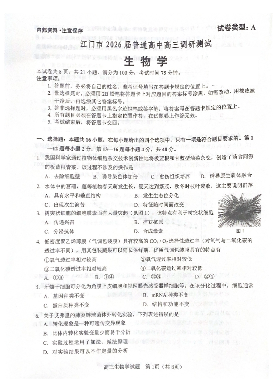 生物试卷A卷广东省江门市2026届普通高中高三调研测试(江门一模)(.5-.6).pdf_第1页