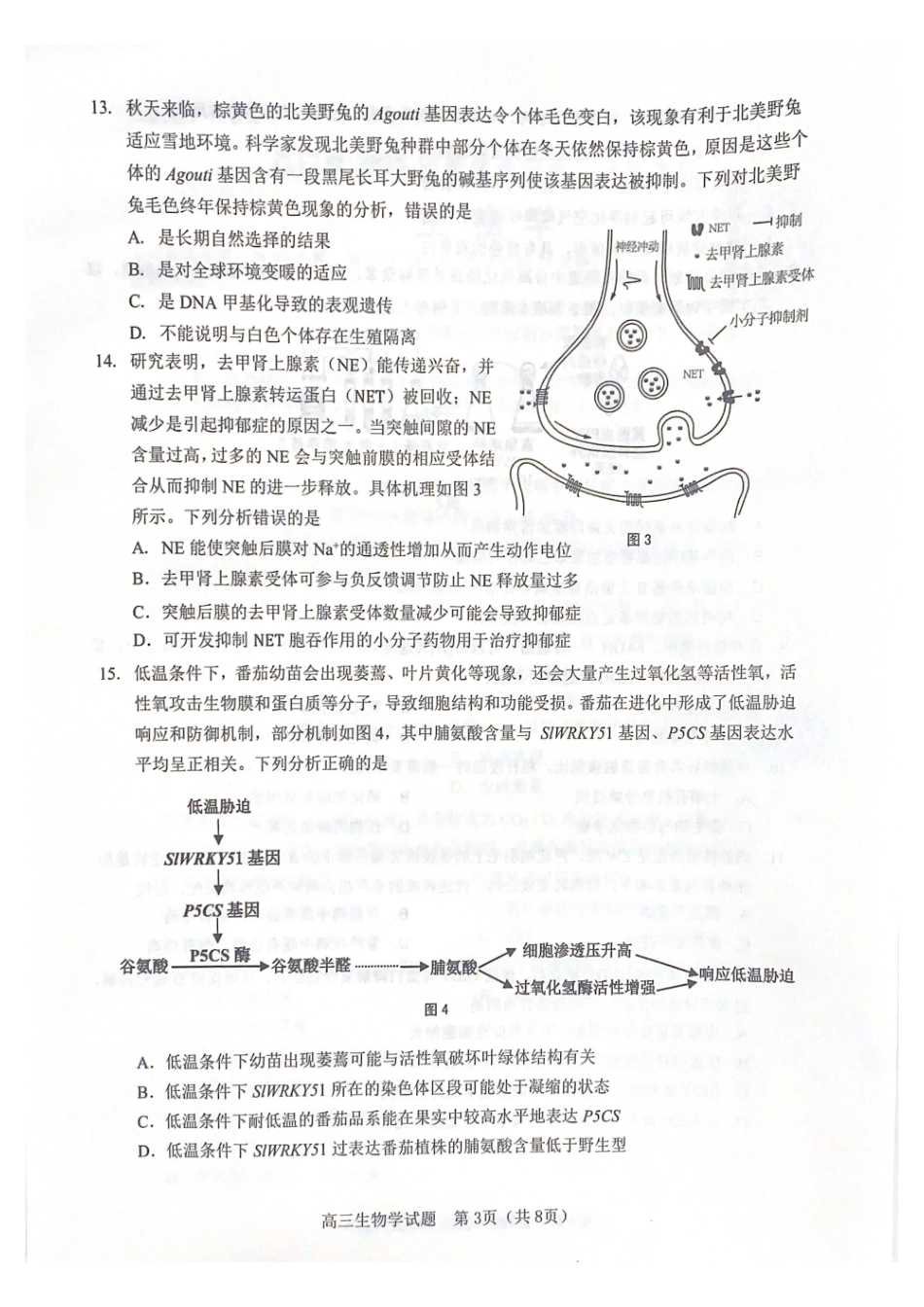 生物试卷A卷广东省江门市2026届普通高中高三调研测试(江门一模)(.5-.6).pdf_第3页