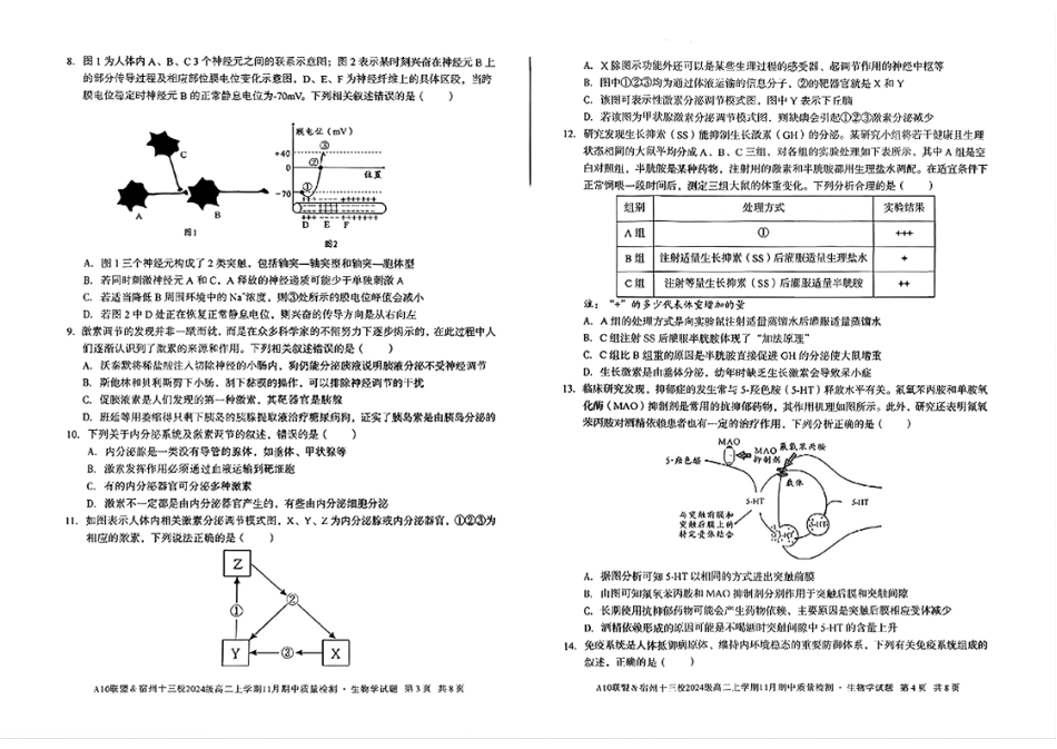 生物试卷安徽省A10联盟&宿州十三校2024级(2027届)高二上学期11月期中质量检测(11.18-11.19).pdf_第2页