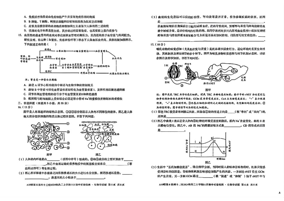 生物试卷安徽省A10联盟&宿州十三校2024级(2027届)高二上学期11月期中质量检测(11.18-11.19).pdf_第3页