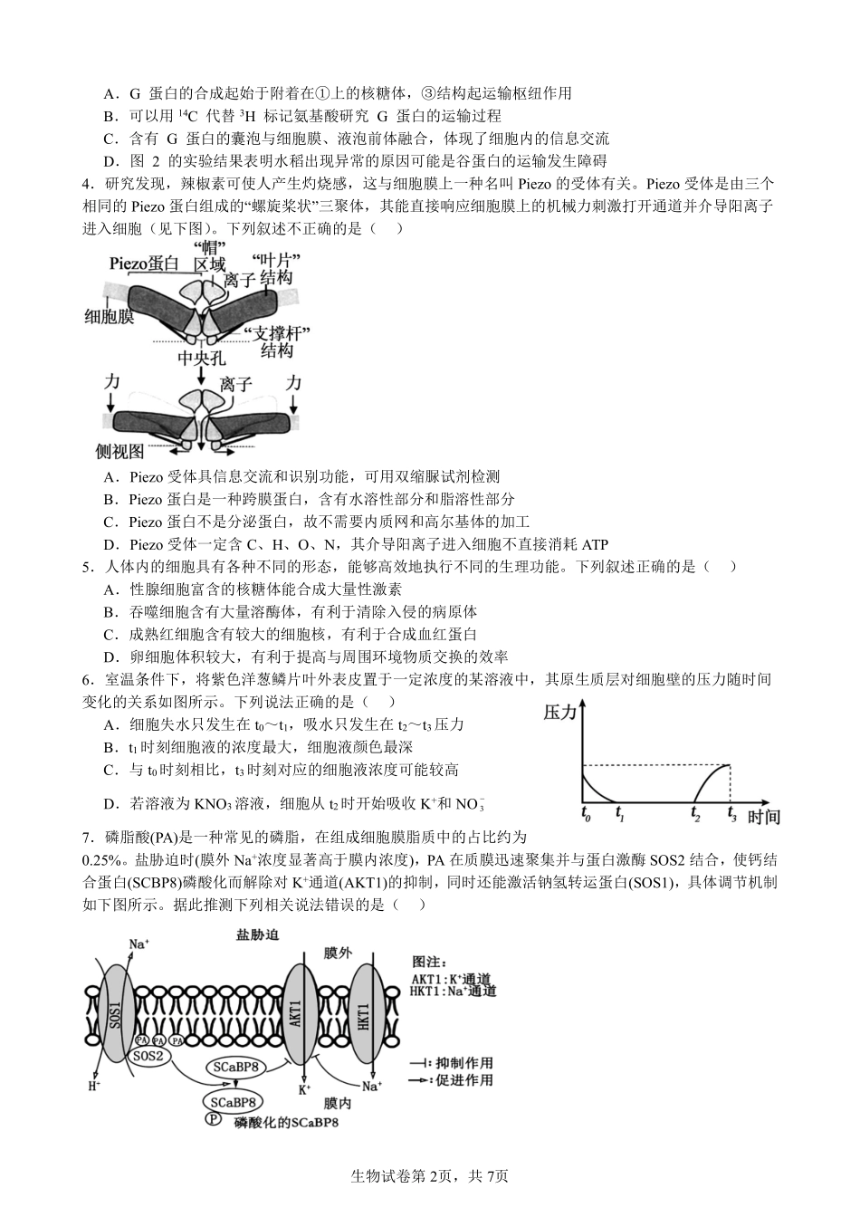 生物试卷安徽省合肥市普通高中六校联盟2025年秋季学期高三年级期中考试(11.13-11.14).pdf_第2页
