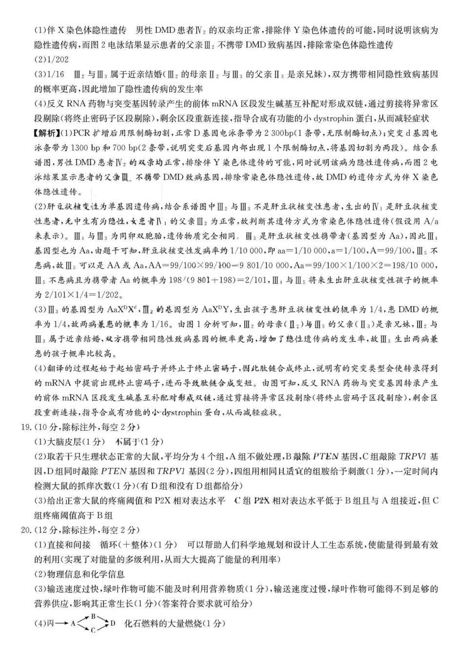 生物试卷答案【全国5强校】湖南省炎德英才大联考雅礼中学2026届高三月考试卷(三)(.5-.6).pdf_第3页
