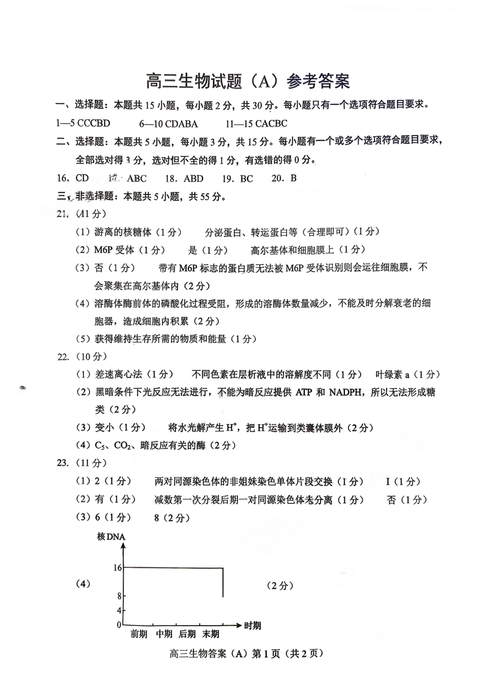 生物试卷答案山东省菏泽市A类高中2025-2026学年度2026届高三第一学期期中考试(11.12-11.14).pdf_第1页