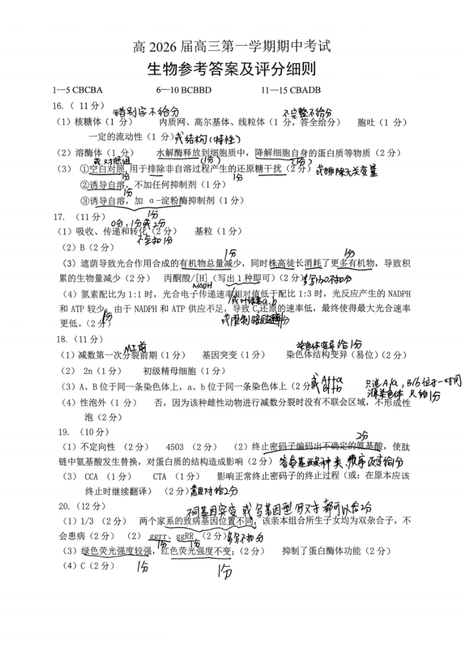 生物试卷答案重庆市九龙坡等主城五区高2026届高三上学期期中考试(.6-.7).pdf_第1页