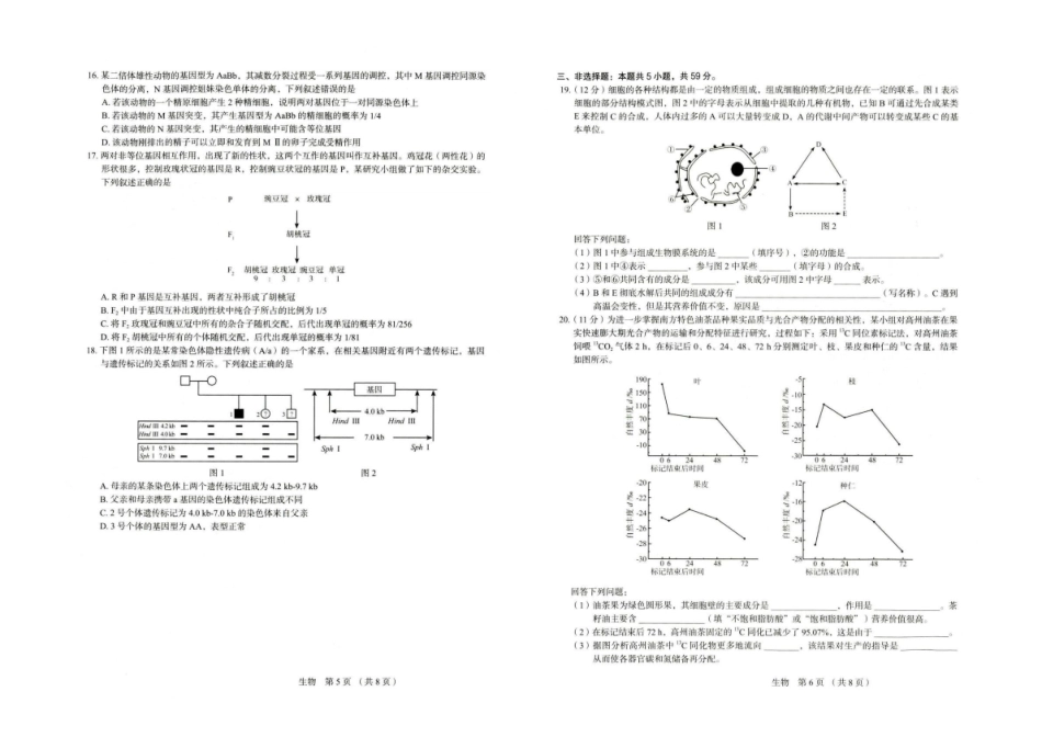 生物试卷河北省保定市2026届高三上学期期中考试(.5-.6).pdf_第3页