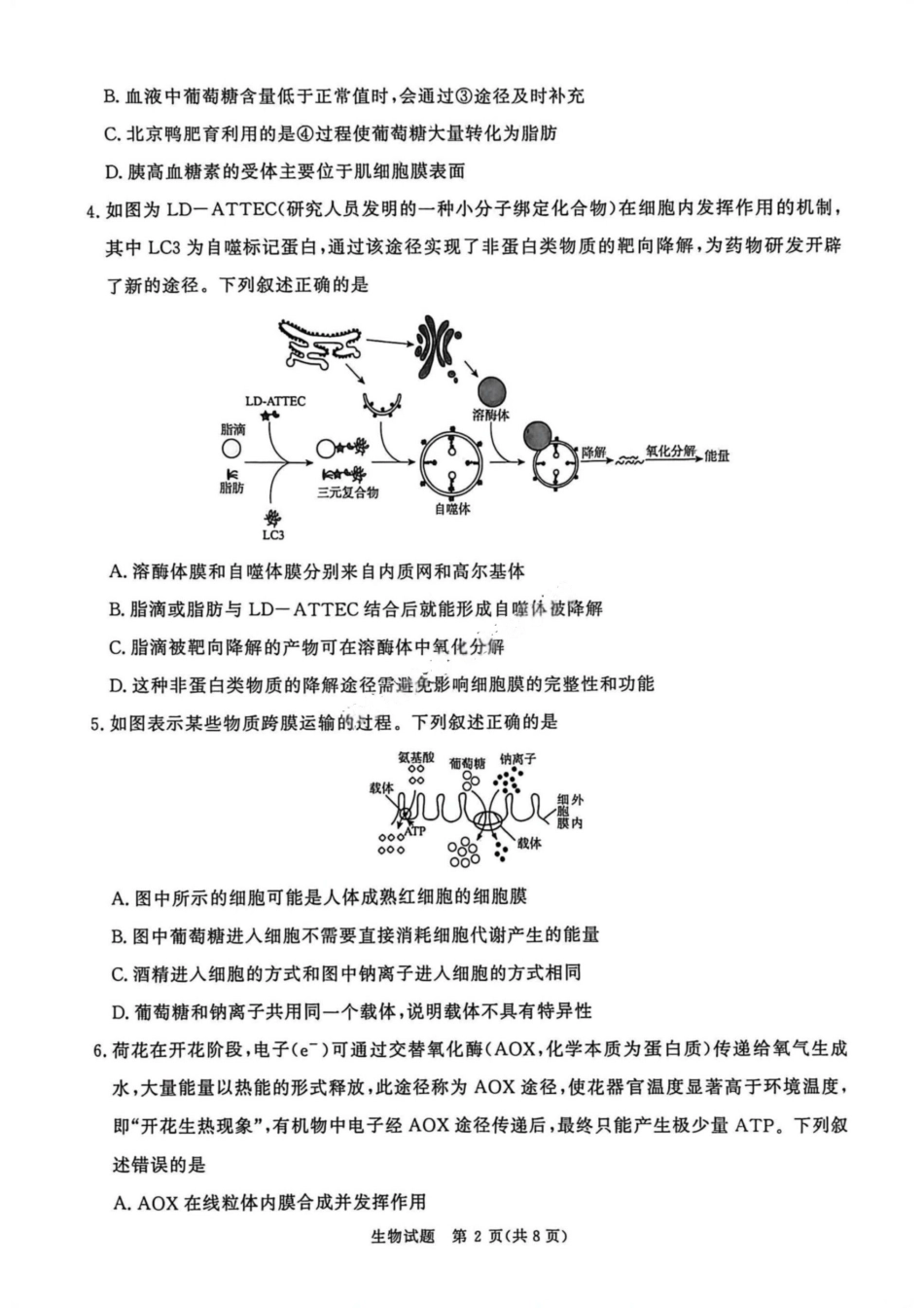 生物试卷河南省2026届普通高等学校招生全国统一考试青桐鸣(高三)11月期中大联考(11.13-11.14).pdf_第2页