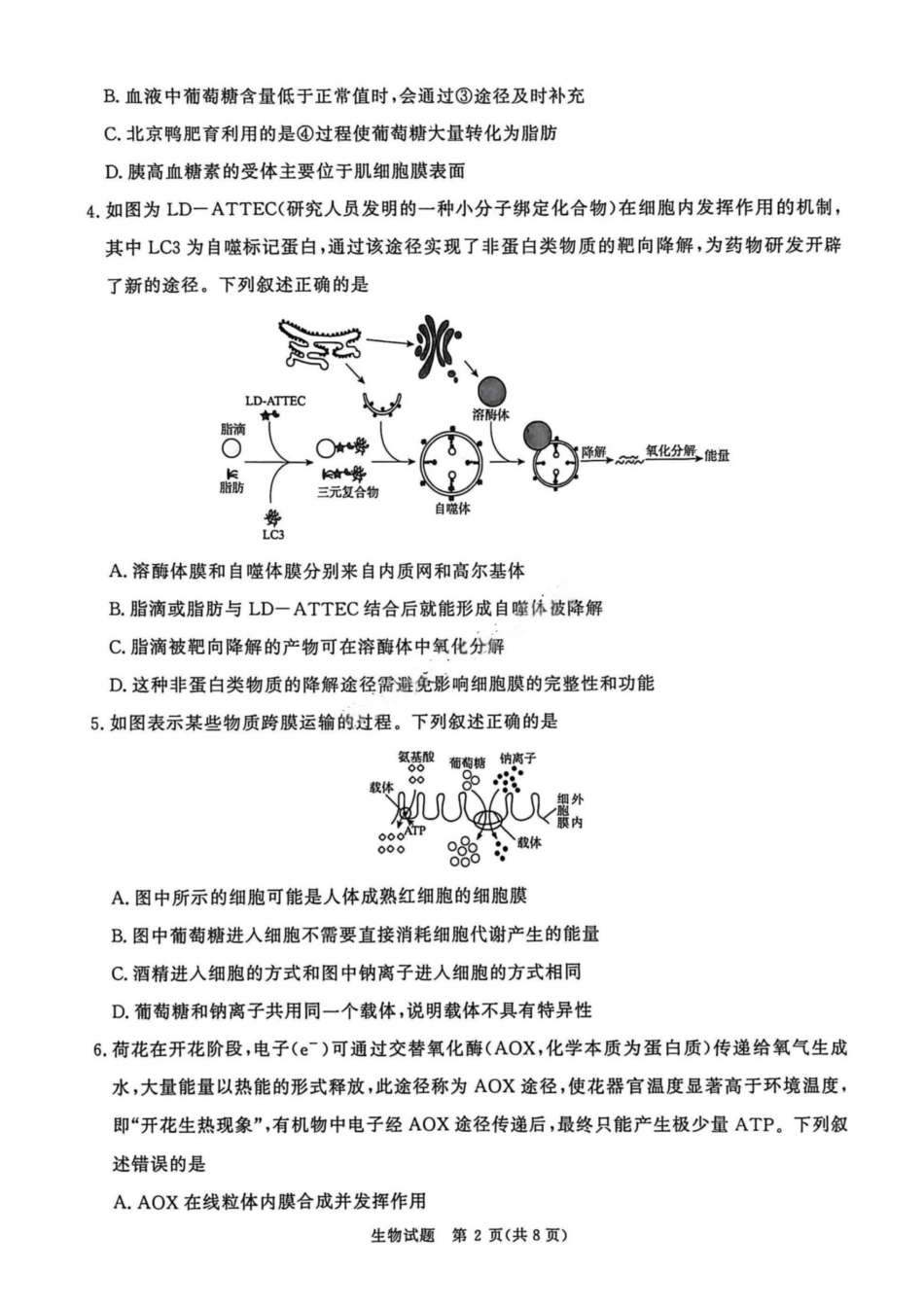 生物试卷河南省2026届普通高等学校招生全国统一考试青桐鸣(高三)月期中大联考(.3-.4).pdf_第2页