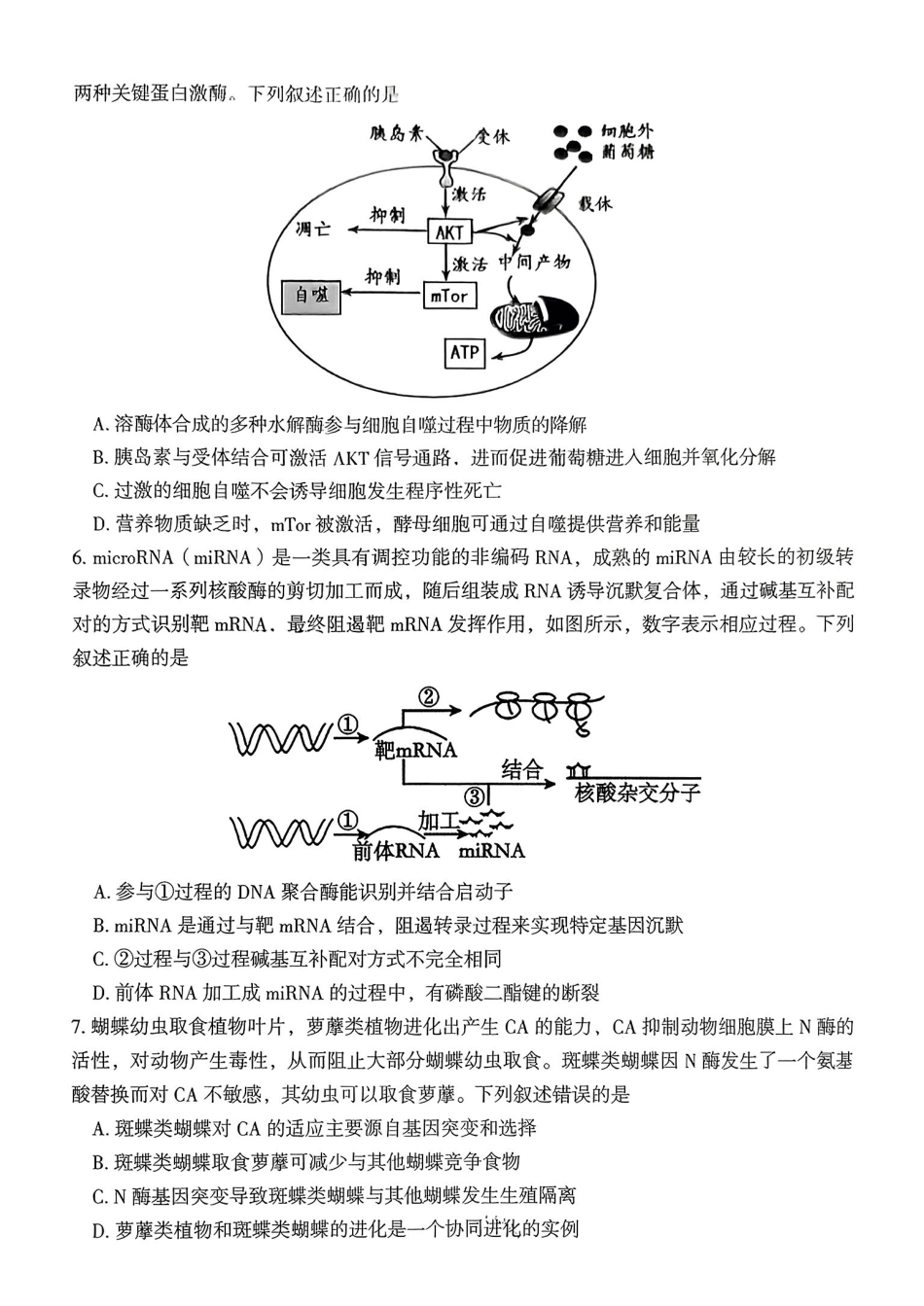 生物试卷湖南省郴州市2025-2026学年高三第一次教学质量监测(郴州一模)(0.30-0.3).pdf_第3页