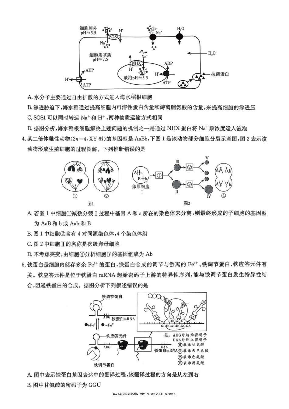 生物试卷湖南省湘东教学联盟2025年月高三联考(.6-.7).pdf_第2页