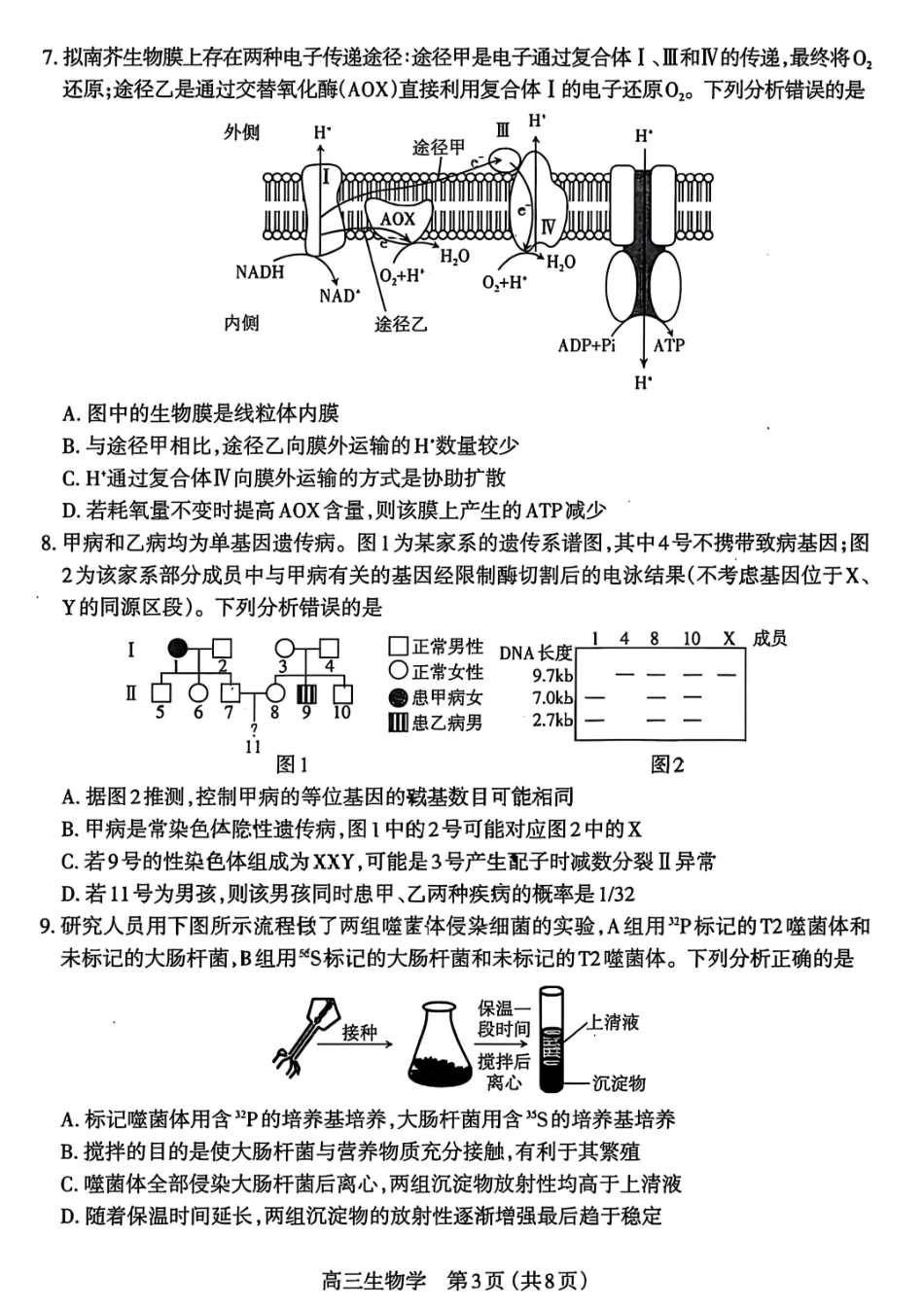 生物试卷山西省太原市2025-2026学年第一学期高三年级期中学业诊断(11.18-11.19).pdf_第3页
