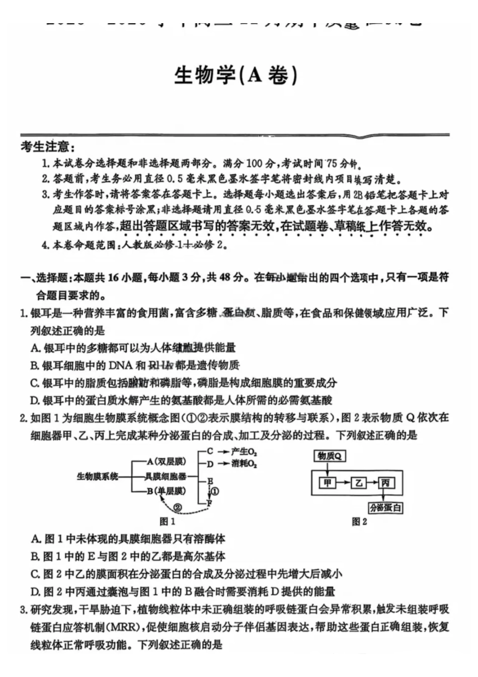 生物试卷山西省卓越联盟2025-2026学年高三月期中质量检测卷(26-X-29C)(.6-.7).pdf_第1页