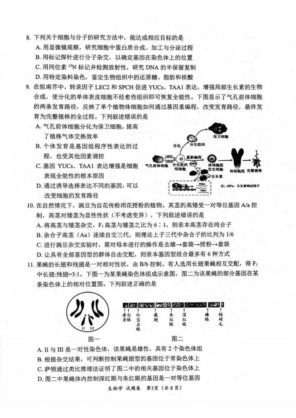 生物试卷四川省“元三维大联考”2023级(2026届)高三第一次诊断考试(0.29-0.3).pdf_第3页