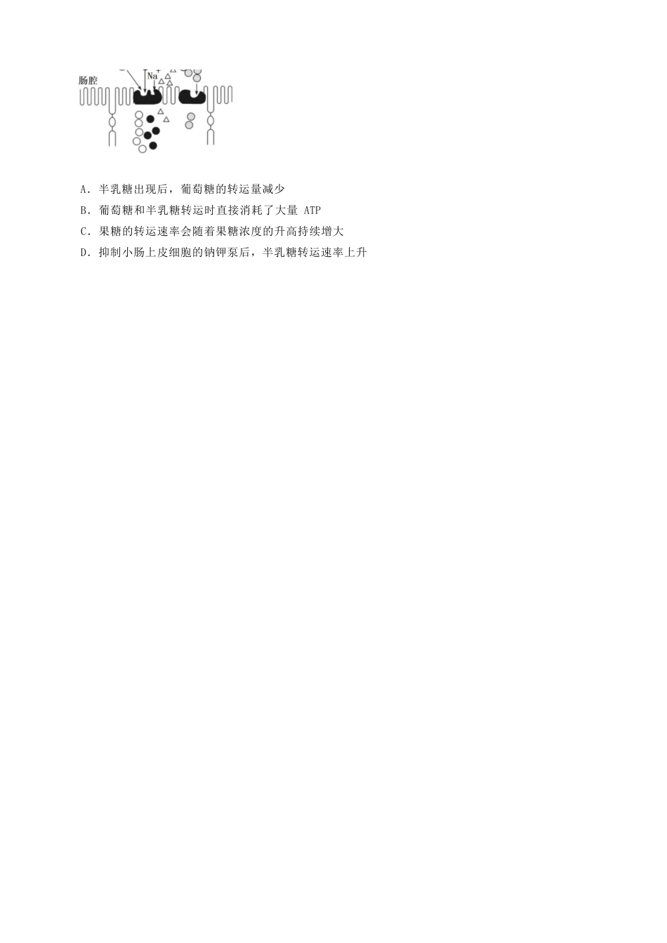 生物试卷四川省成都七中2025-2026学年度上期2026届半期考试高三期中考试(1.18-11.19).docx_第2页
