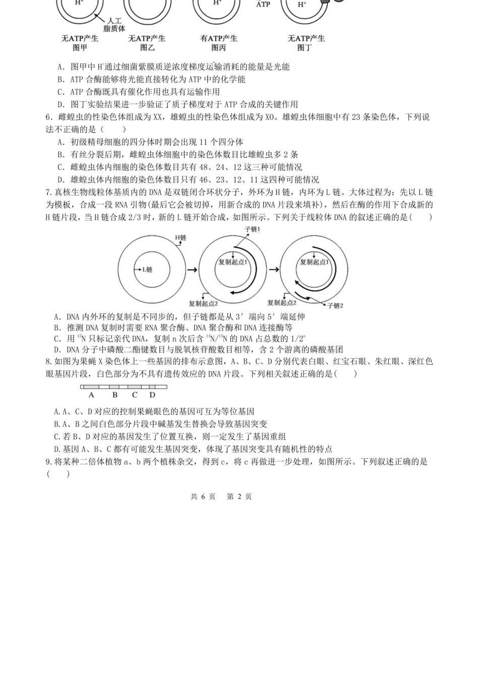 生物试卷四川省成都七中2025-2026学年度上期2026届半期考试高三期中考试(1.18-11.19).docx_第3页