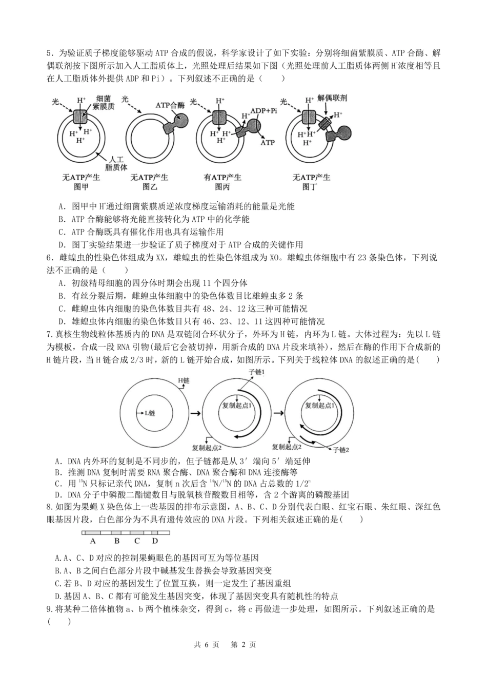 生物试卷四川省成都七中2025-2026学年度上期2026届半期考试高三期中考试(1.18-11.19).pdf_第2页