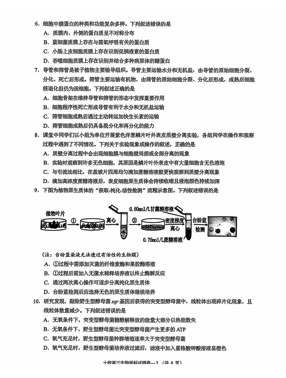 生物试卷浙江省金华十校2025年月高三模拟考试(金华十校一模)(.5-.7).pdf_第2页