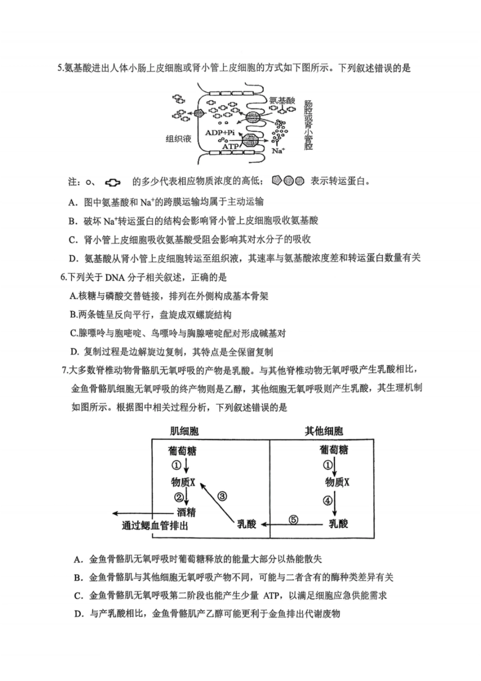 生物试卷重庆市九龙坡等主城五区高2026届高三上学期期中考试(.6-.7).pdf_第2页