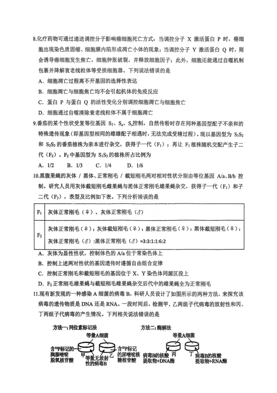生物试卷重庆市九龙坡等主城五区高2026届高三上学期期中考试(.6-.7).pdf_第3页