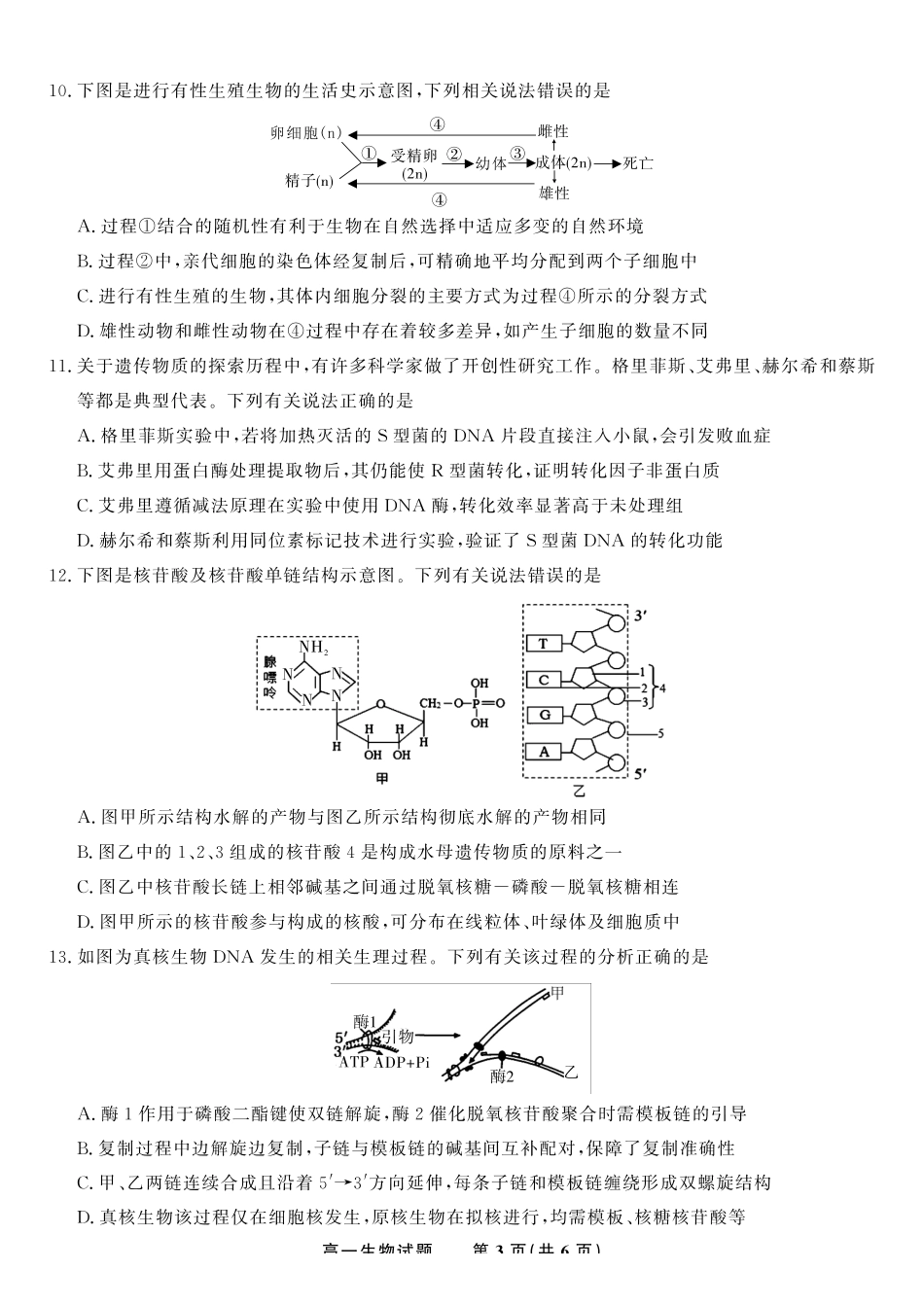生物试题2025年5月高一阶段考.pdf_第3页