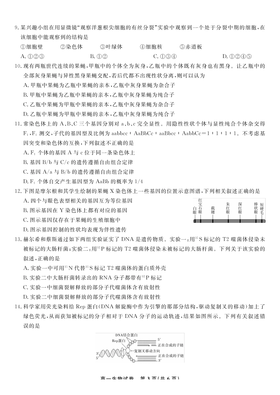 生物试题2025年7月高一期末联考.pdf_第3页