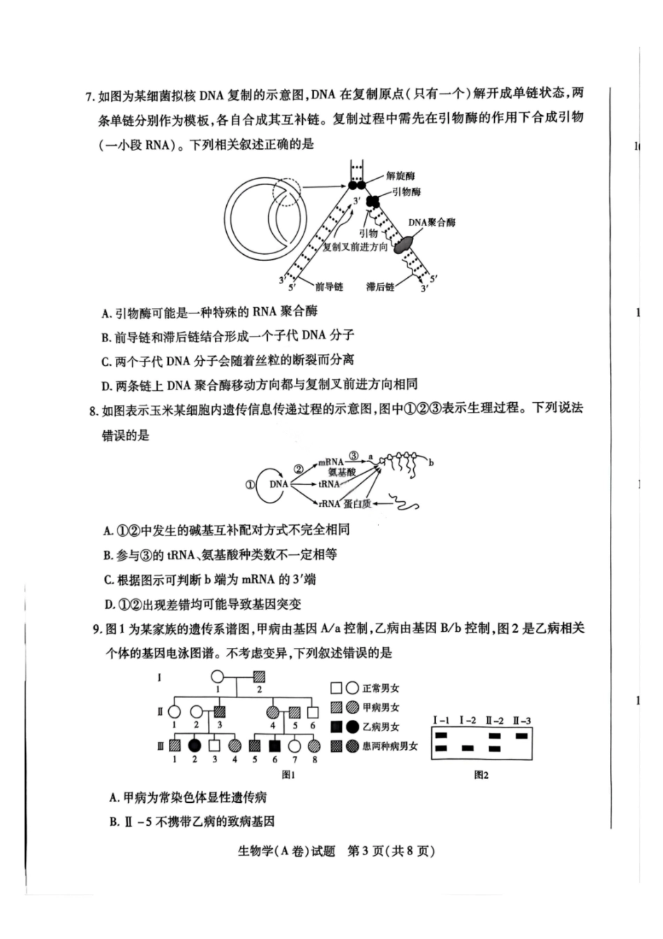 生物试题卷(A卷)(.日)河南省陕西省-天一大联考2025-2026学年(上)高三天一小高考(二)(.-.2).pdf_第3页