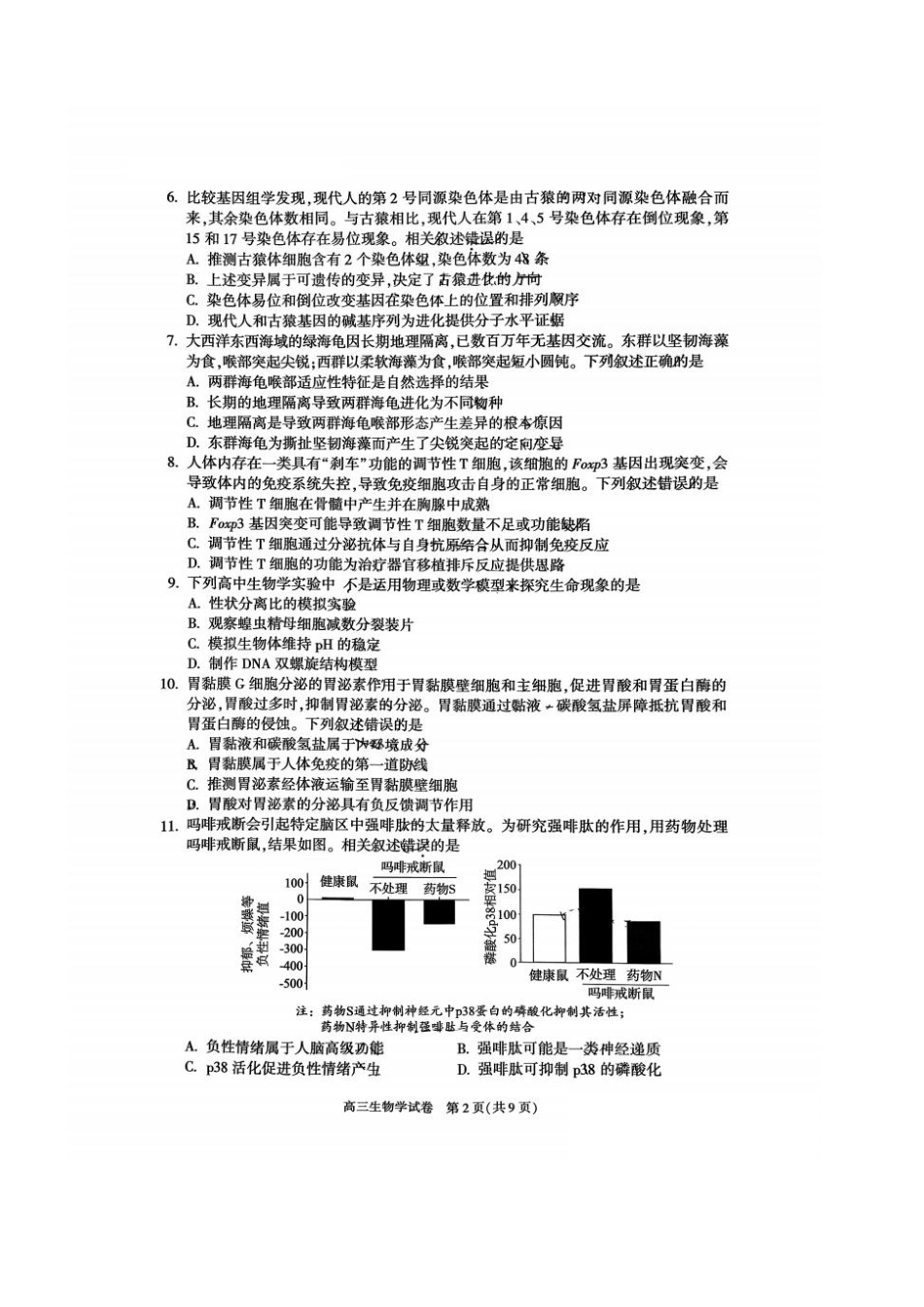 生物试题卷【北京卷】北京朝阳区205-2026学年度第一学期2026届高三期中质量检测(.5-.8).pdf_第2页
