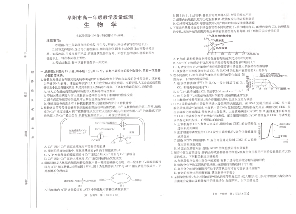 生物试题卷【高一下期末考】安徽省阜阳市2024-2025学年高一年级下学期7月教学质量统测（金太阳25-529A）.pdf_第1页