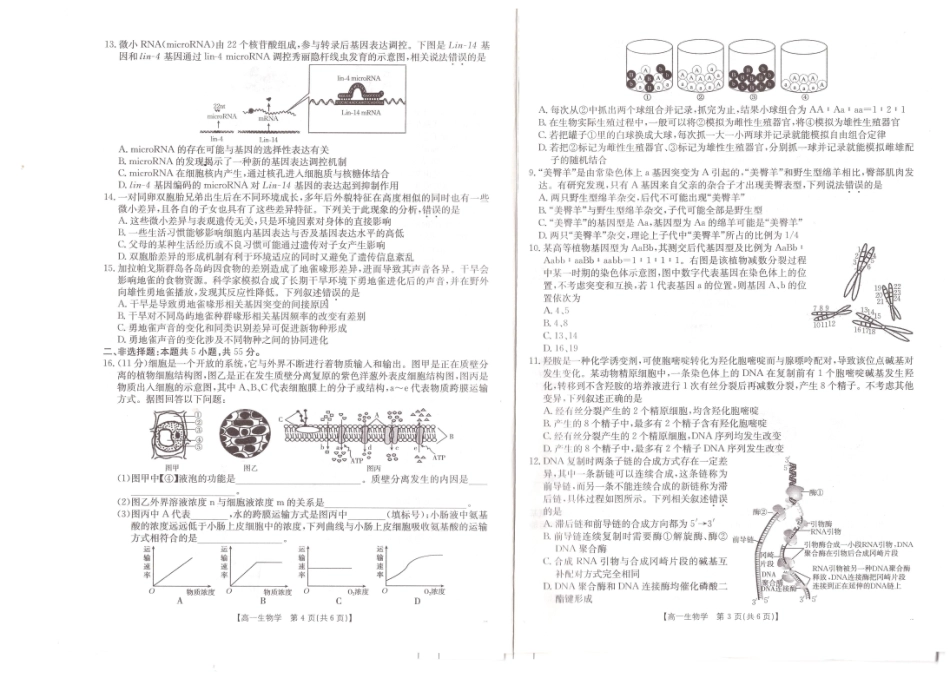 生物试题卷【高一下期末考】安徽省阜阳市2024-2025学年高一年级下学期7月教学质量统测（金太阳25-529A）.pdf_第2页