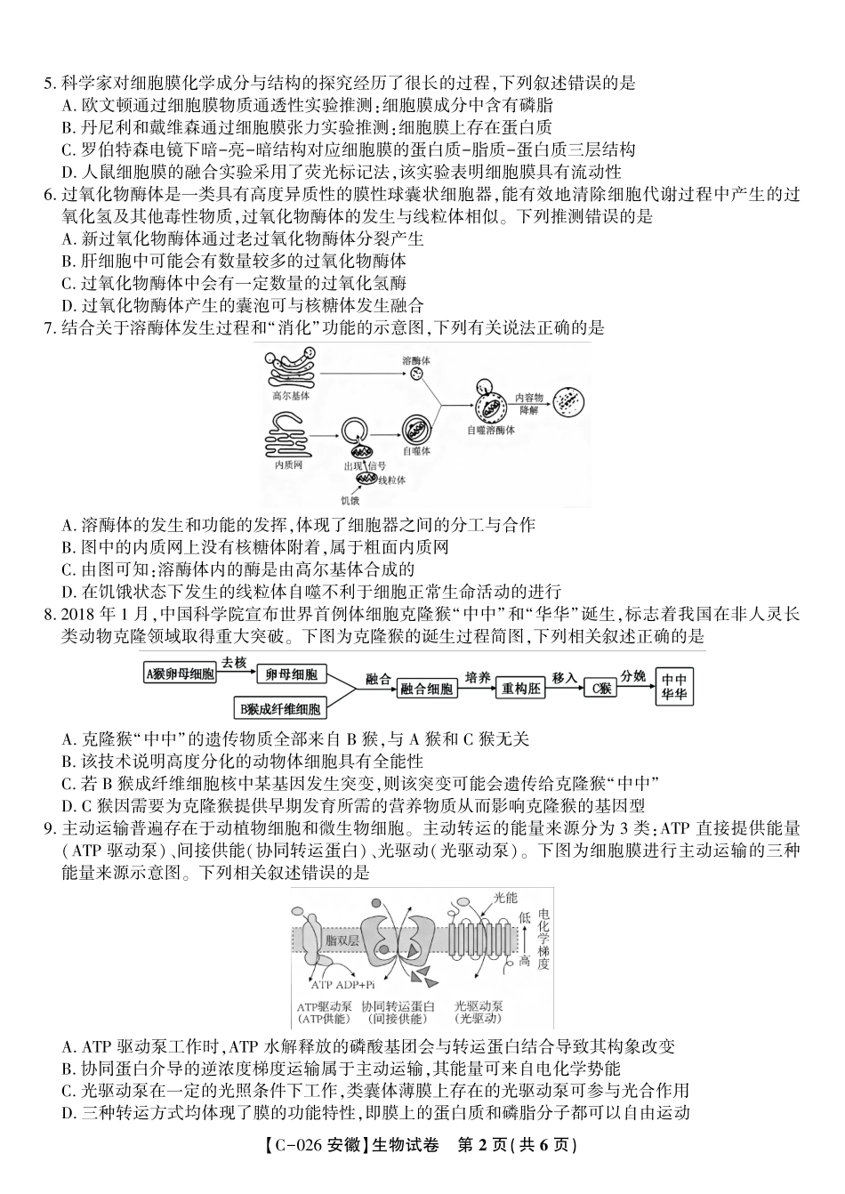 生物试题卷安徽省皖江名校联盟2025-2026学年高三上学期期中联考(11.19-11.20).pdf_第2页
