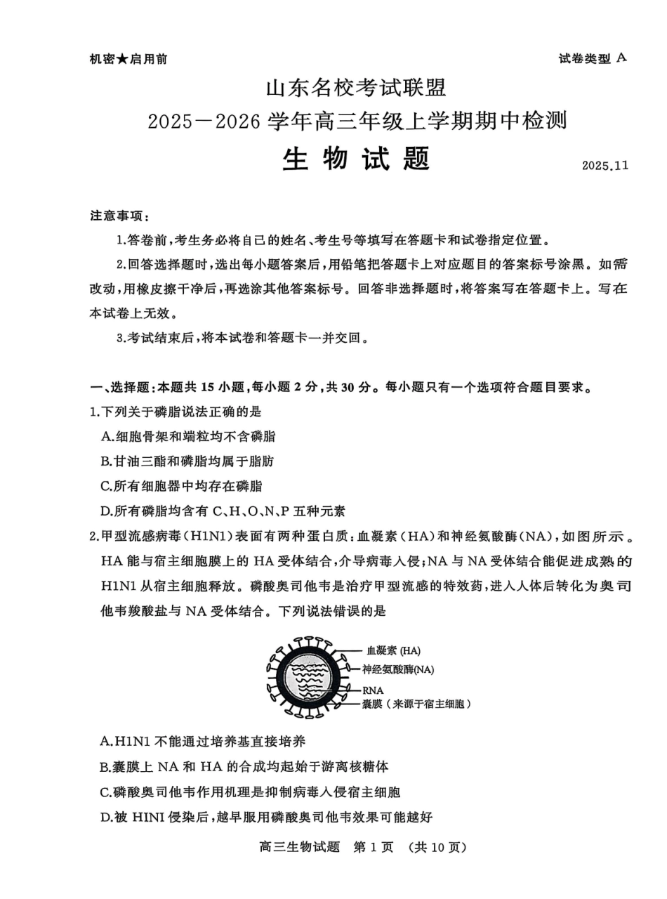 生物试题卷山东省名校考试联盟2025-2026学年高三年级上学期期中检测暨11月联考(济南淄博期中联考)(11.11-11.12).pdf_第1页