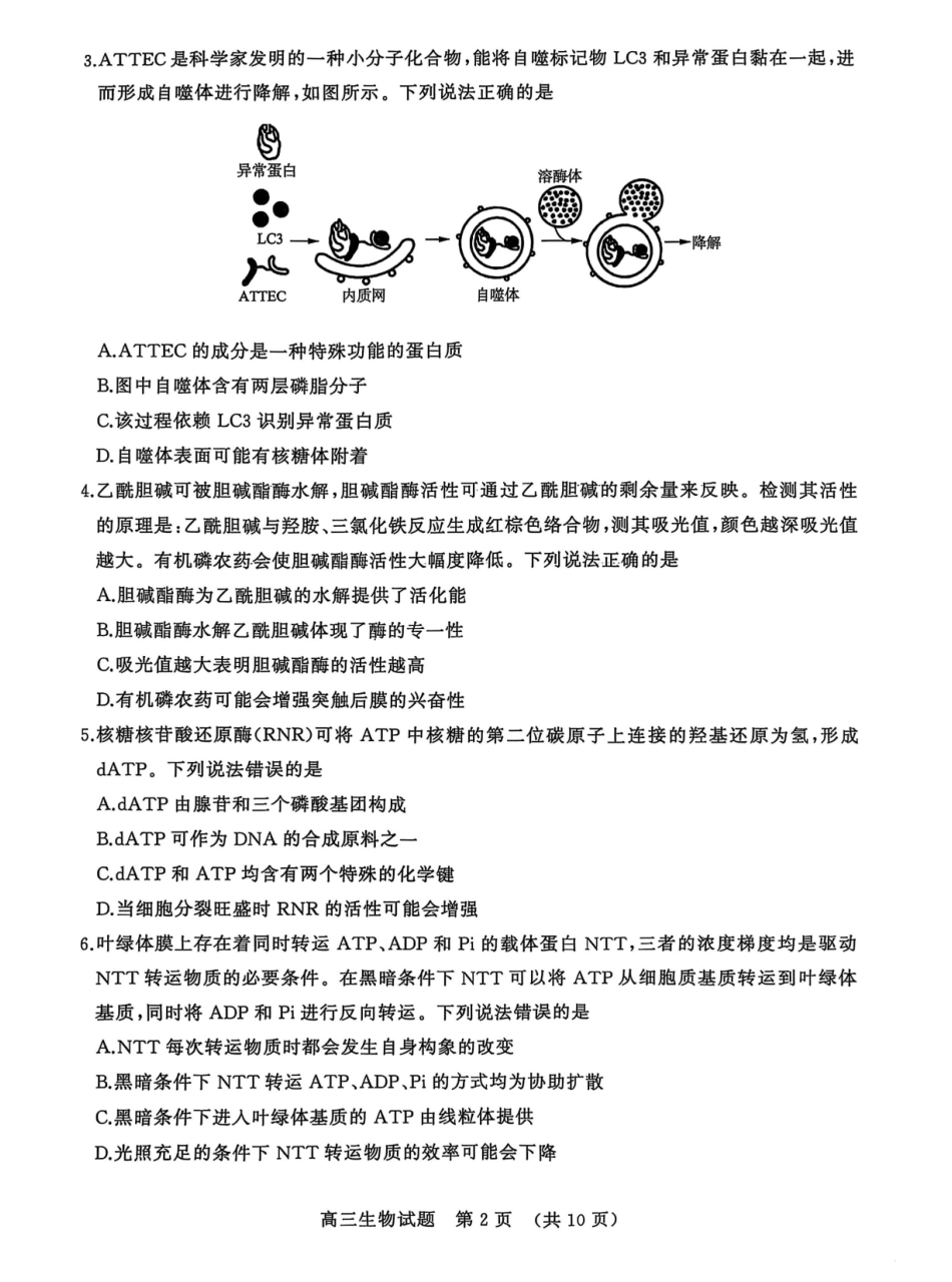 生物试题卷山东省名校考试联盟2025-2026学年高三年级上学期期中检测暨11月联考(济南淄博期中联考)(11.11-11.12).pdf_第2页