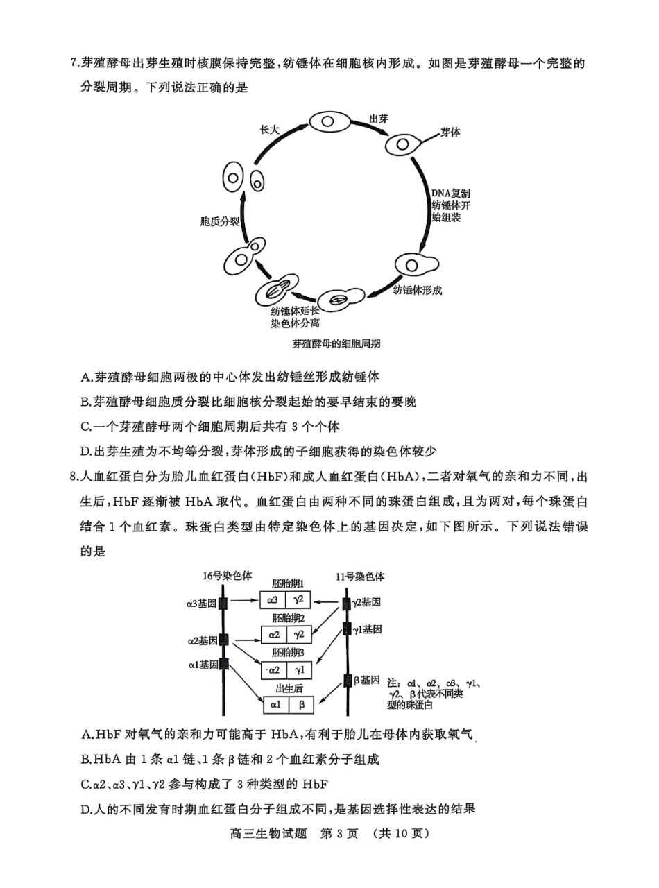 生物试题卷山东省名校考试联盟2025-2026学年高三年级上学期期中检测暨11月联考(济南淄博期中联考)(11.11-11.12).pdf_第3页