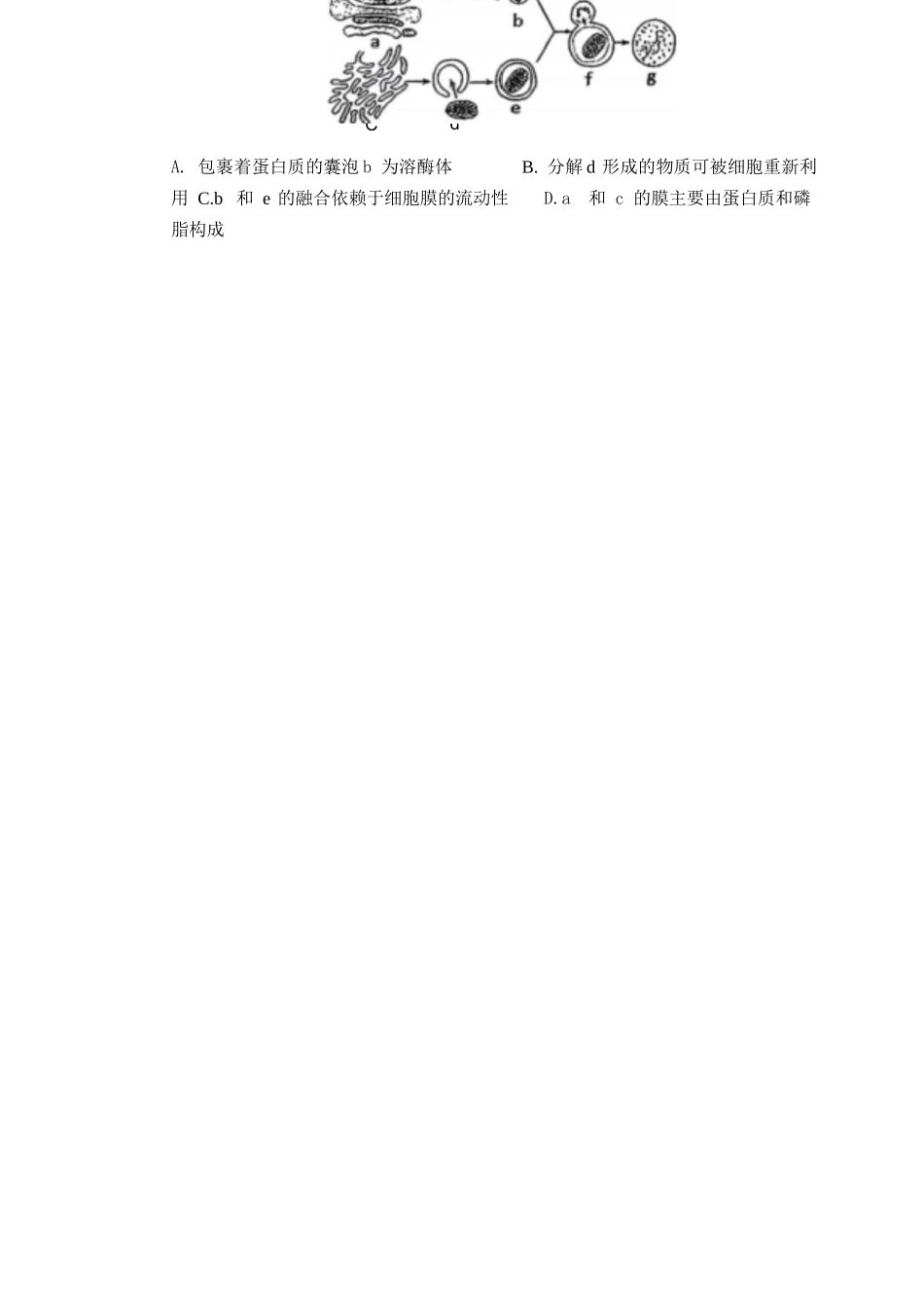 生物试题卷山西省大同市2026高三年级第二次学情调研测试11.19-11.20).docx_第2页