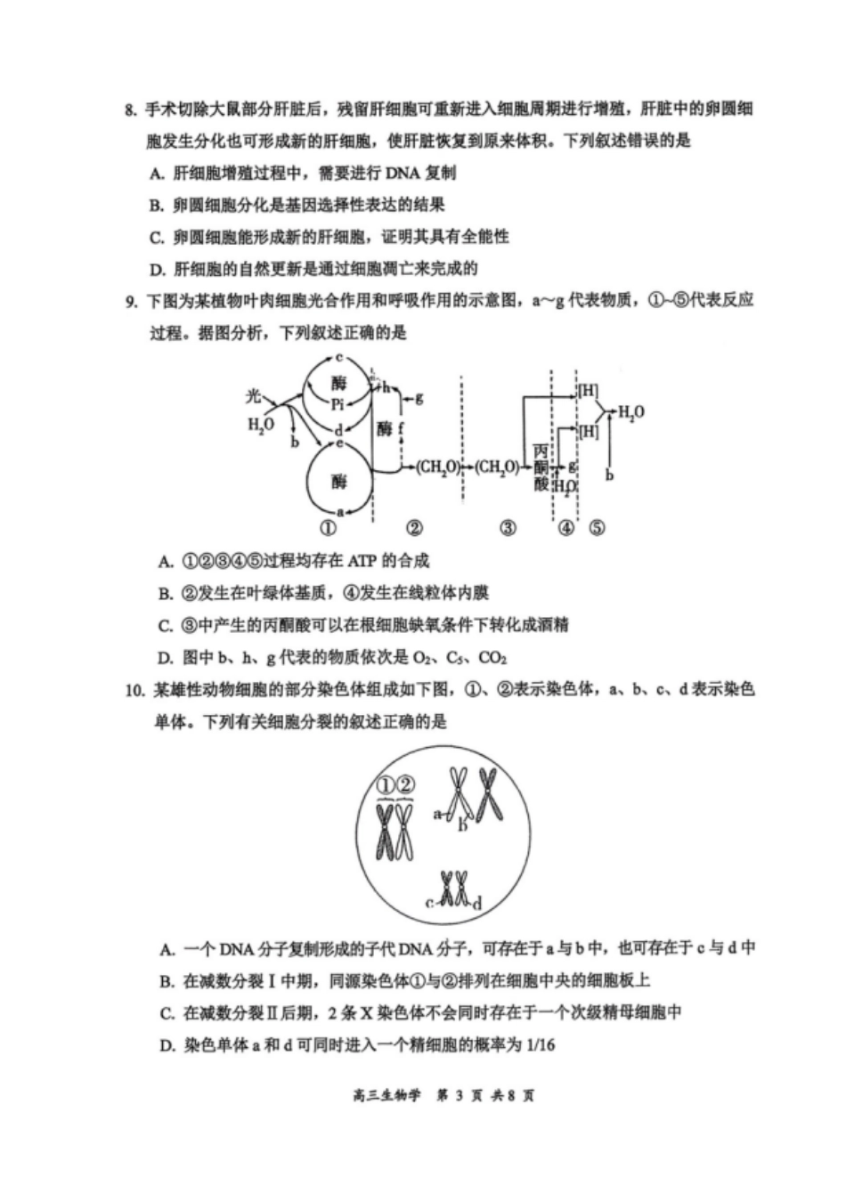 生物试题卷山西省大同市2026高三年级第二次学情调研测试11.19-11.20).pdf_第3页