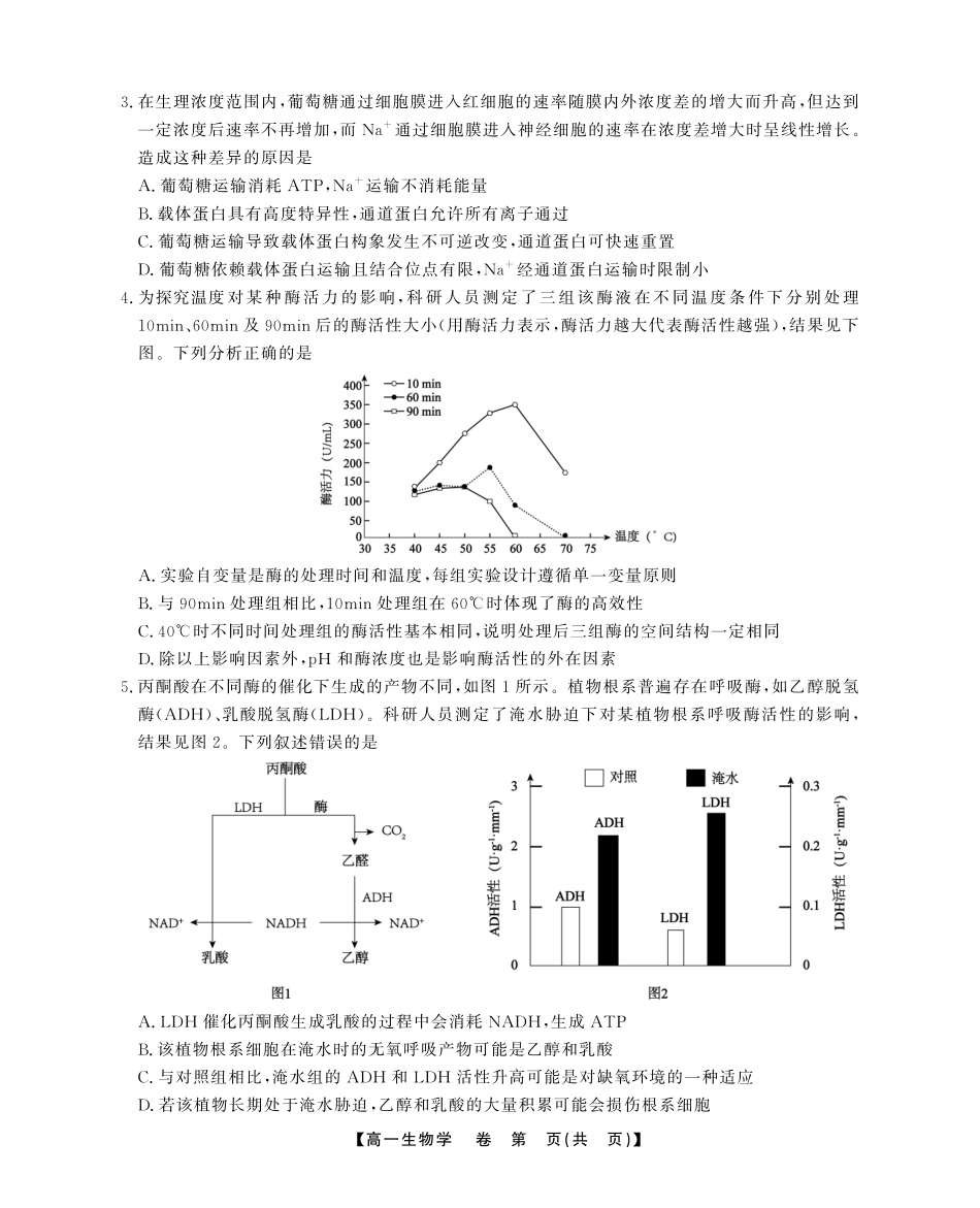 生物学(A卷)试卷SY(鼎尖教育)【高一下期末考】安徽省江淮协作区(鼎尖教育)2024-2025学年高一下学期期末联合监测（7.7-7.9）.pdf_第2页