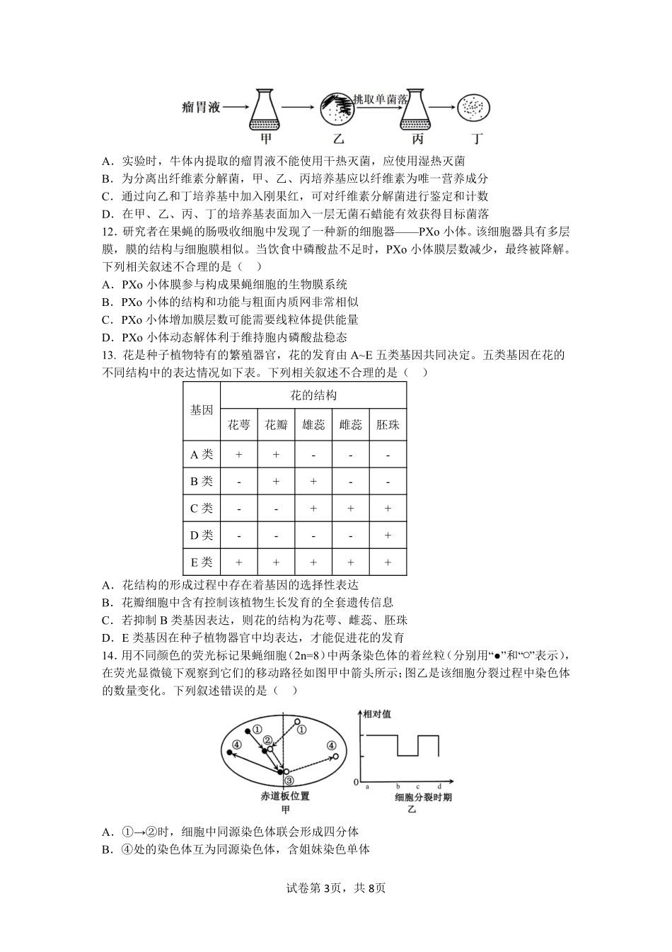 四川省成都市第七中学2024-2025学年高三上学期月期中考试生物.pdf_第3页
