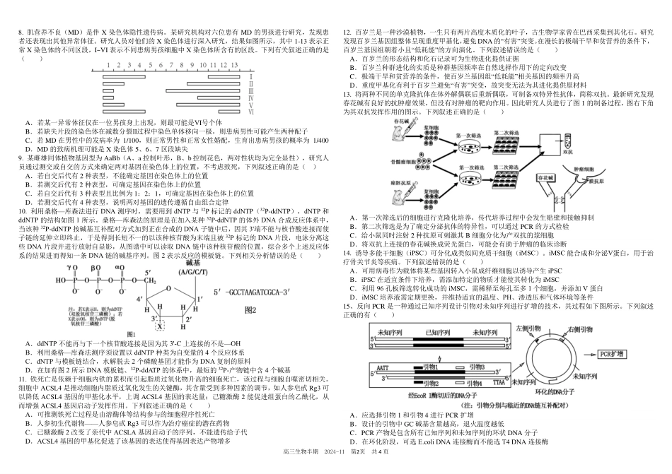 四川省成都市树德中学2024-2025学年高三上学期期中考试生物试题含答案.pdf_第2页