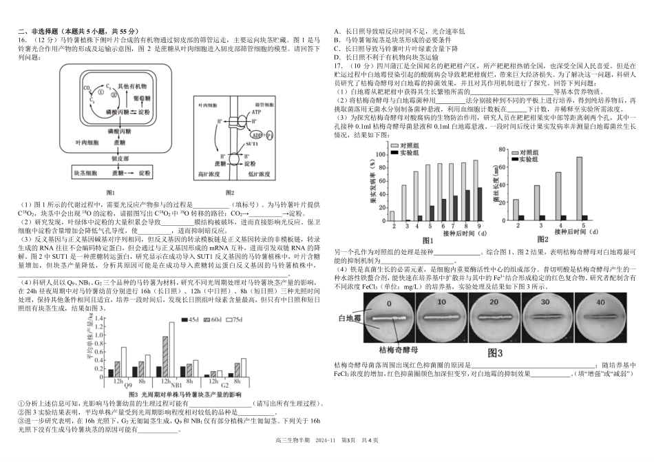 四川省成都市树德中学2024-2025学年高三上学期期中考试生物试题含答案.pdf_第3页
