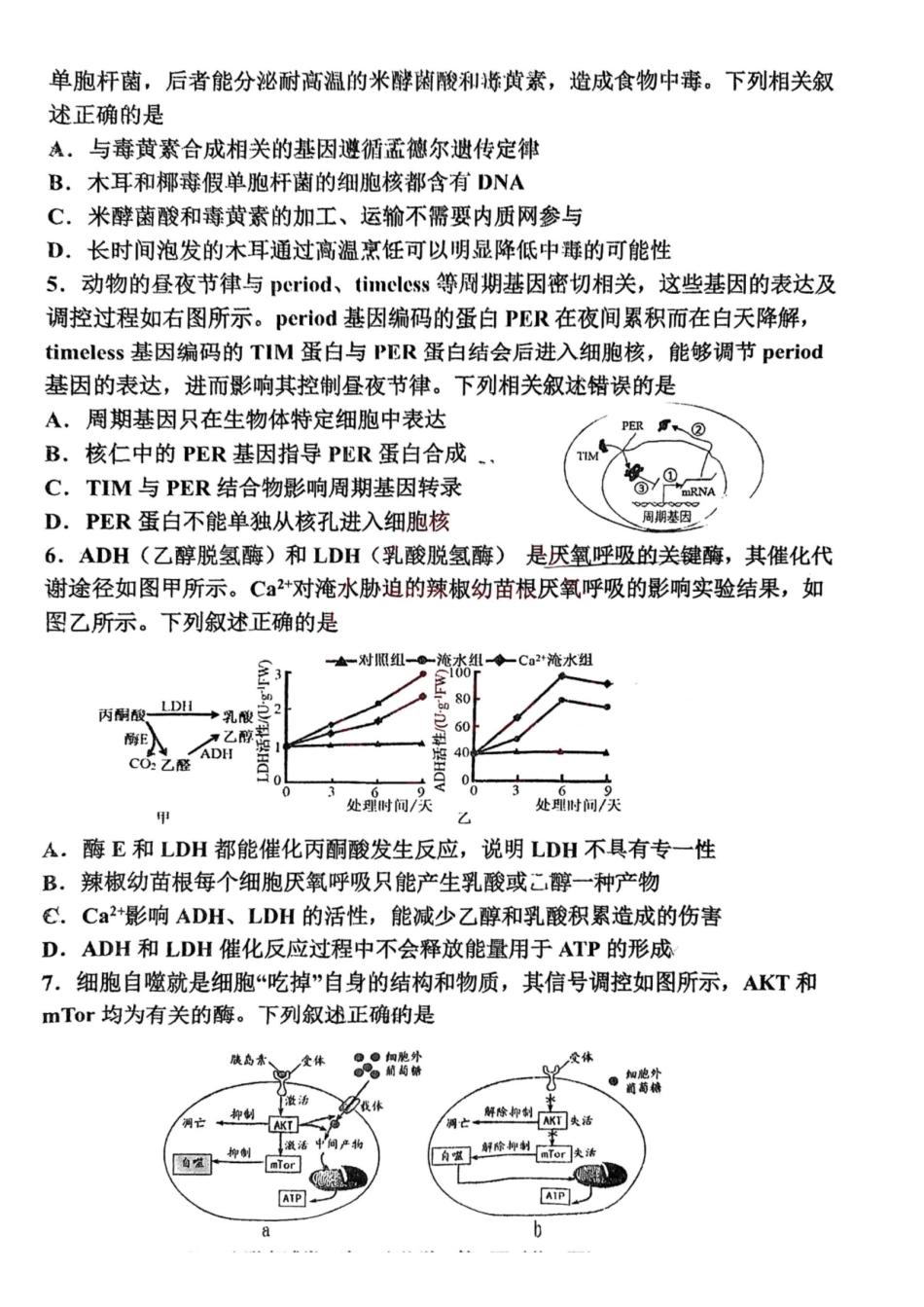 天津市北辰区2024-2025学年高三上学期月期中生物试题(含答案).pdf_第2页
