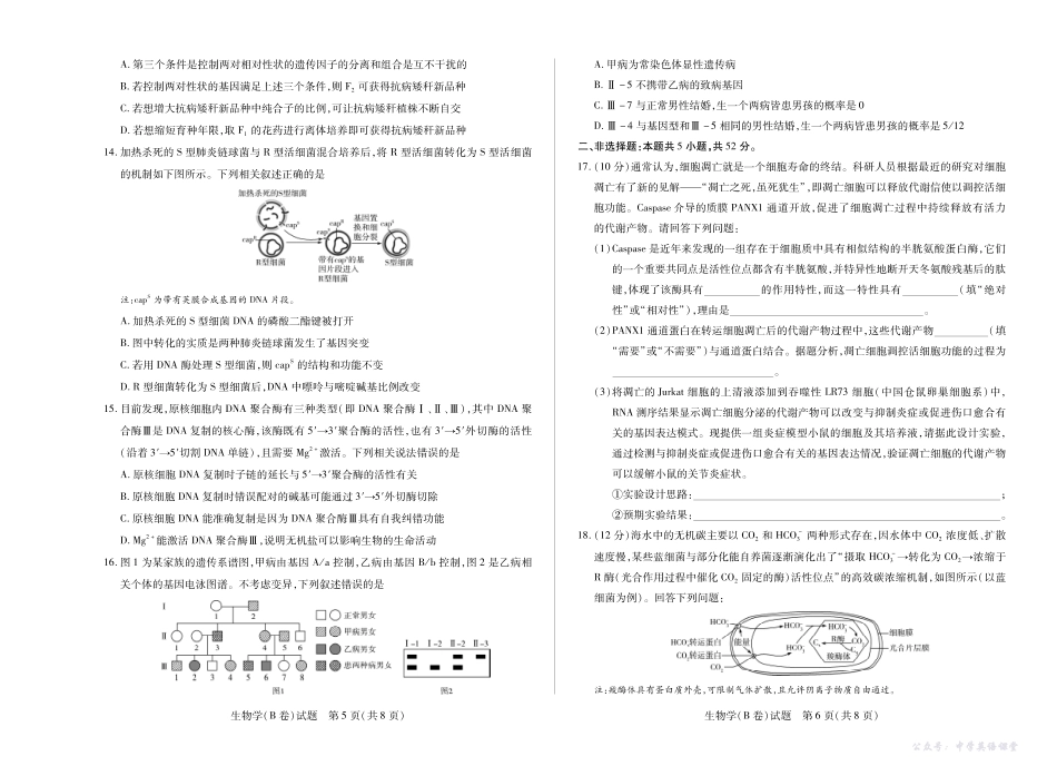 天一大联考2025-2026学年(上)高三年级天一小高考(二)生物(B卷).pdf_第3页